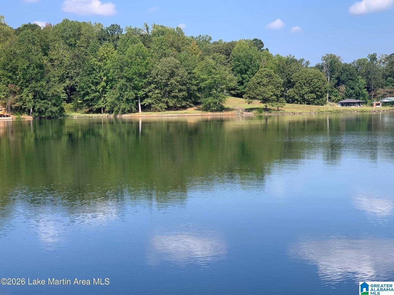 Homes for sale in Alexander City, AL | 147 Eiland Road, Alexander City, AL 35010 | MLS# 21446080