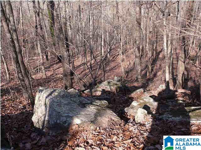 Homes for sale in Helena, AL | 5620 S Shades Crest Road, Helena, AL 35022 | MLS# 21446092