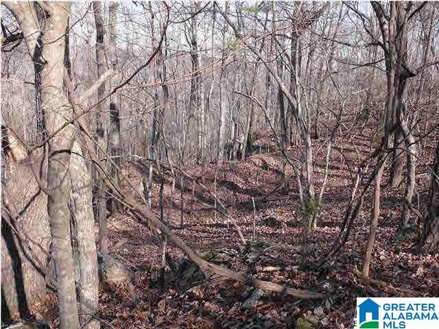 Homes for sale in Helena, AL | 5620 S Shades Crest Road, Helena, AL 35022 | MLS# 21446092