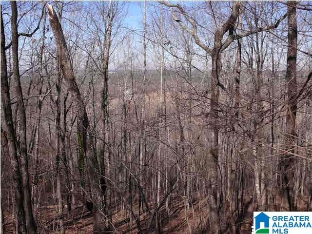 Homes for sale in Helena, AL | 5620 S Shades Crest Road, Helena, AL 35022 | MLS# 21446092
