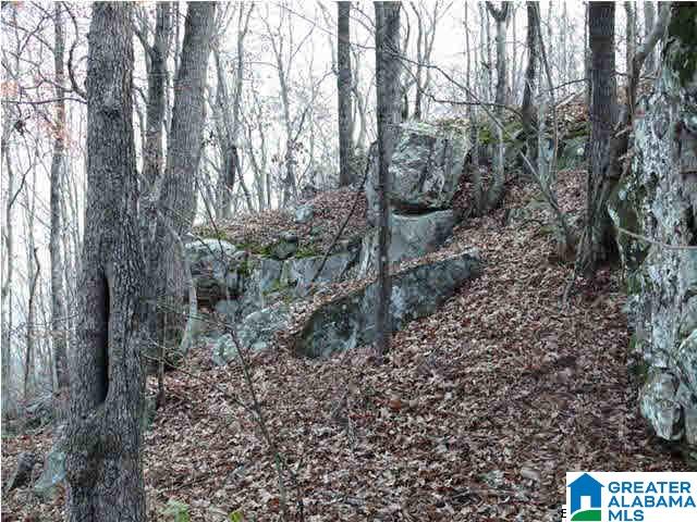 Homes for sale in Helena, AL | 5620 S Shades Crest Road, Helena, AL 35022 | MLS# 21446092