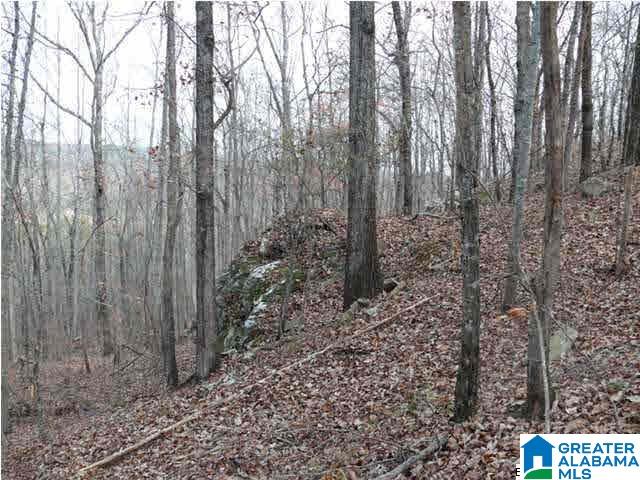 Homes for sale in Helena, AL | 5620 S Shades Crest Road, Helena, AL 35022 | MLS# 21446092