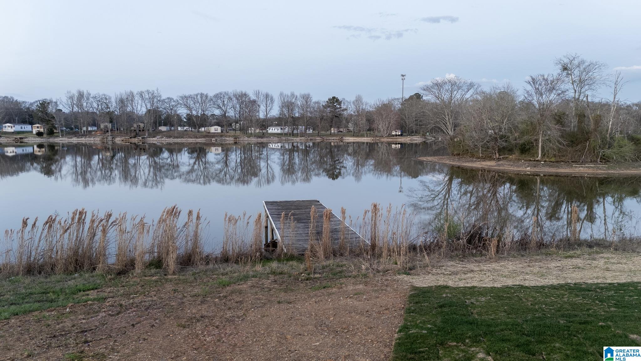 Homes for sale in Lincoln, AL | 165 Clear Springs Road, Lincoln, AL 35096 | MLS# 21446093