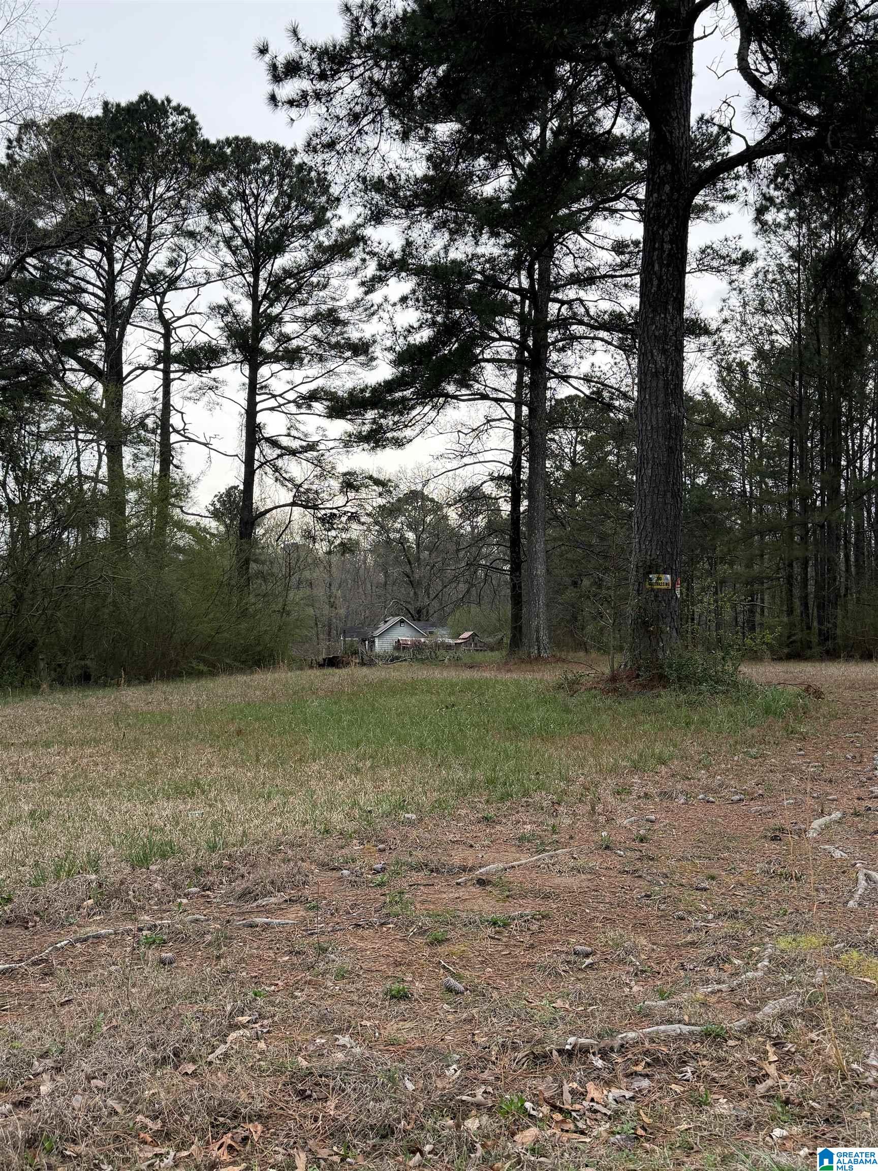 Homes for sale in Gardendale, AL | 6776 N Old Hwy 31, Gardendale, AL 35071 | MLS# 21446167