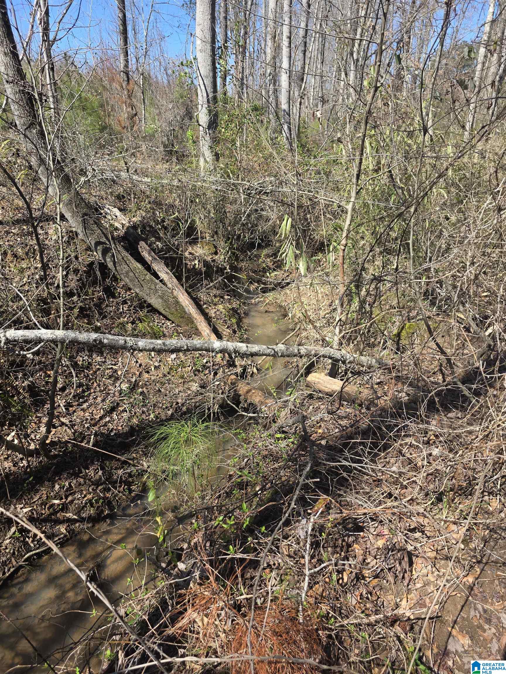 Homes for sale in Wedowee, AL | Tract 9 County Road 256, Wedowee, AL 36278 | MLS# 21446349