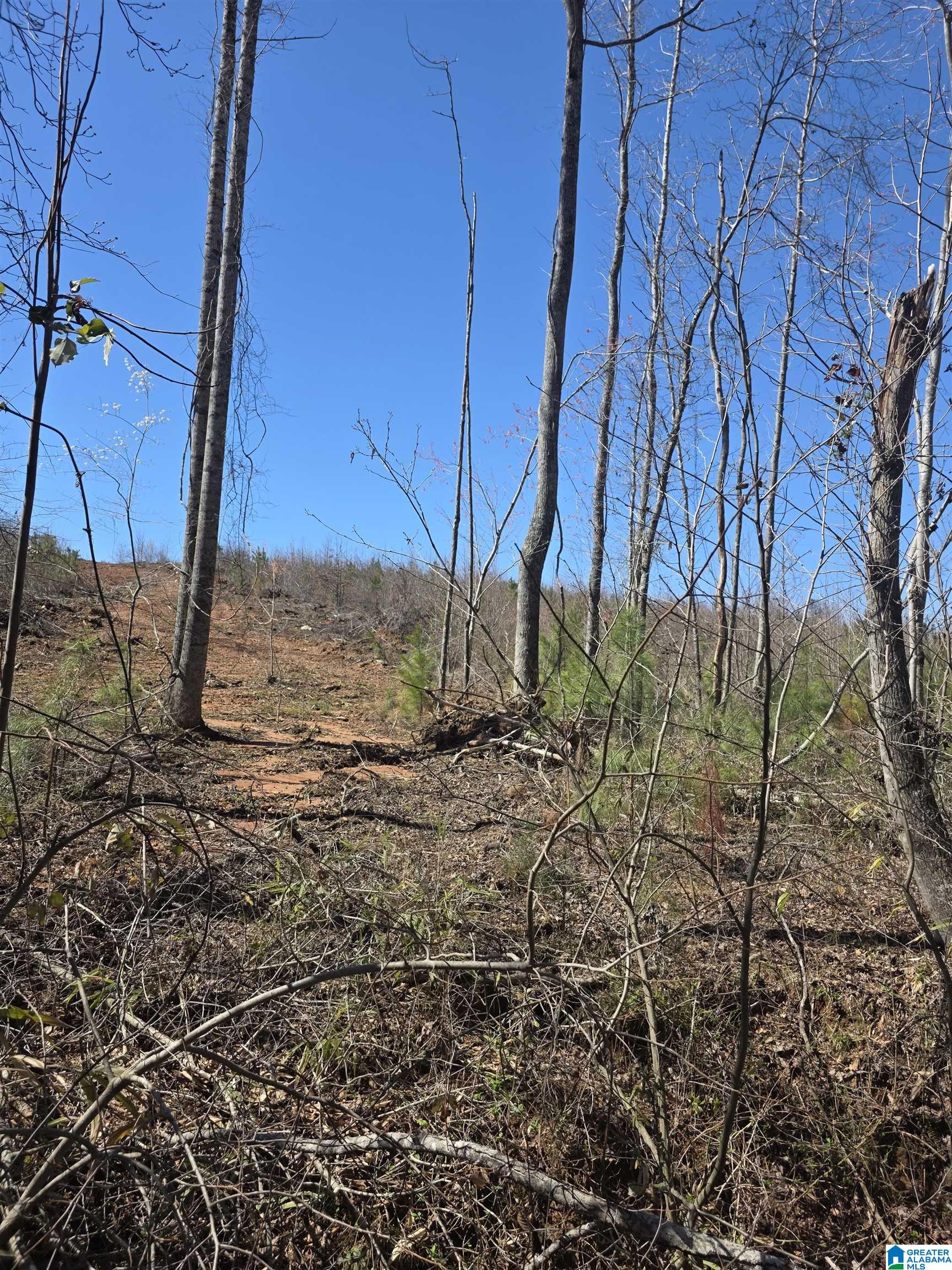 Homes for sale in Wedowee, AL | Tract 9 County Road 256, Wedowee, AL 36278 | MLS# 21446349