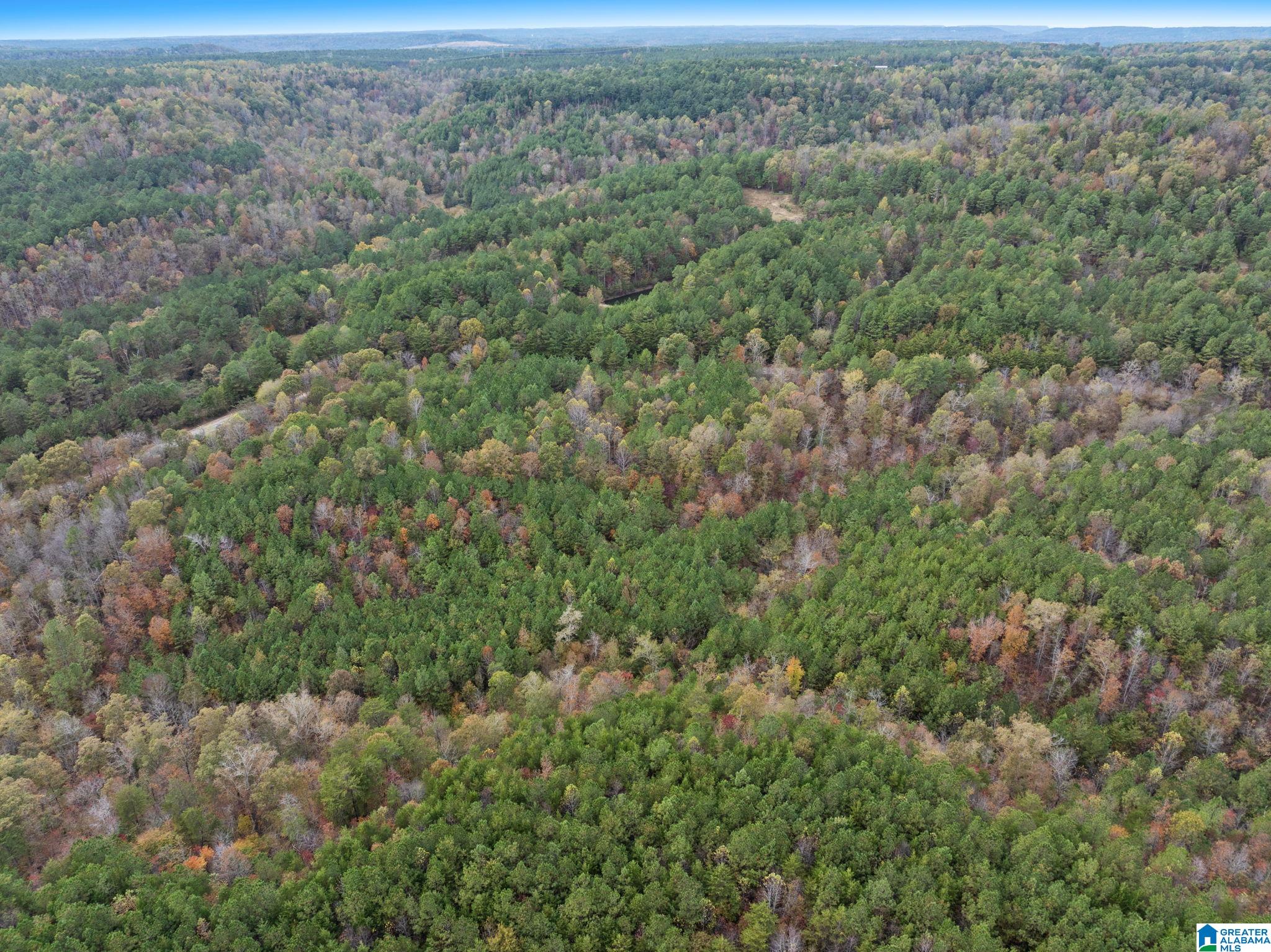 Homes for sale in Hanceville, AL | 0 County Road 518, Hanceville, AL 35077 | MLS# 21446350