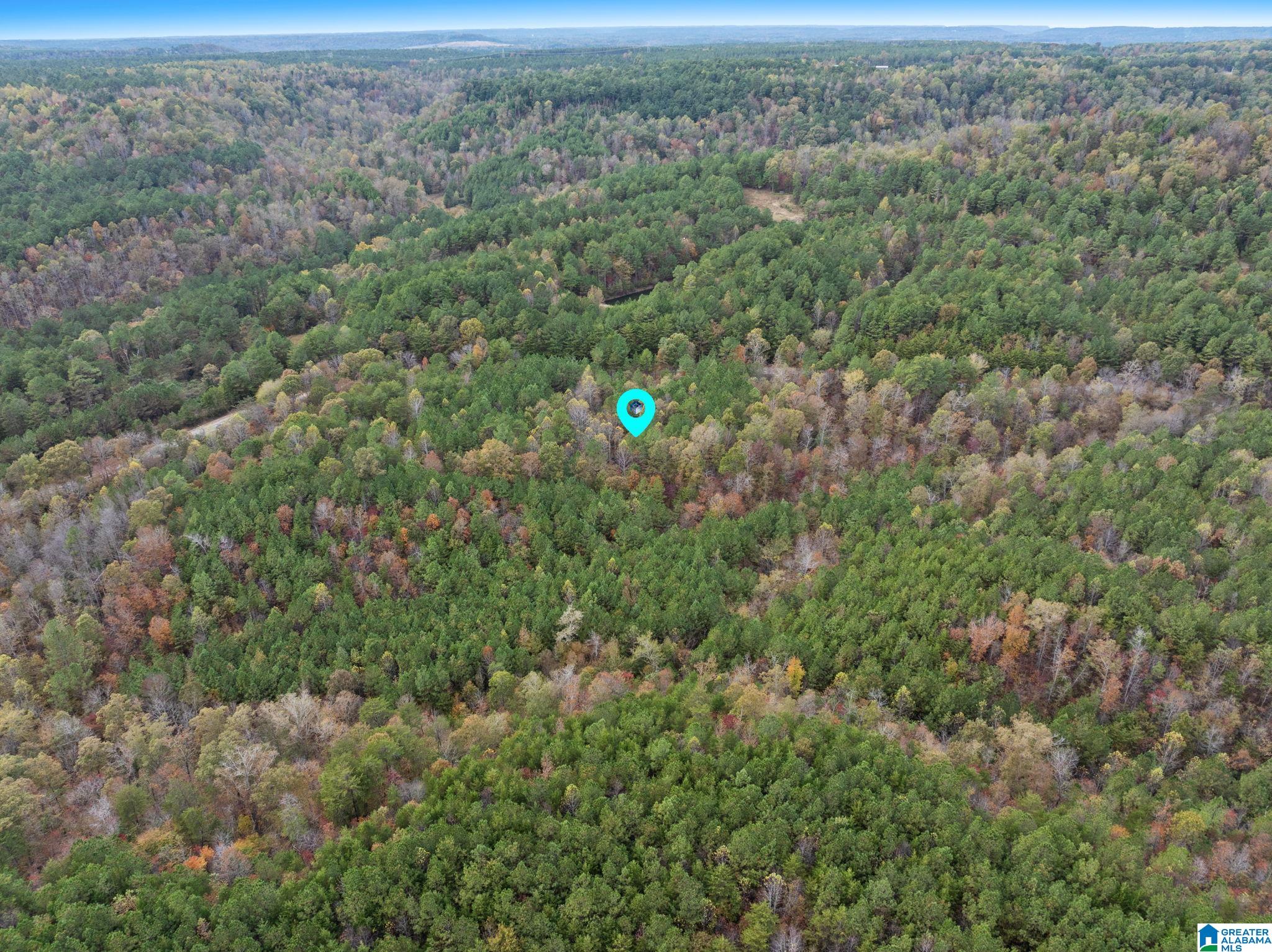 Homes for sale in Hanceville, AL | 0 County Road 518, Hanceville, AL 35077 | MLS# 21446350