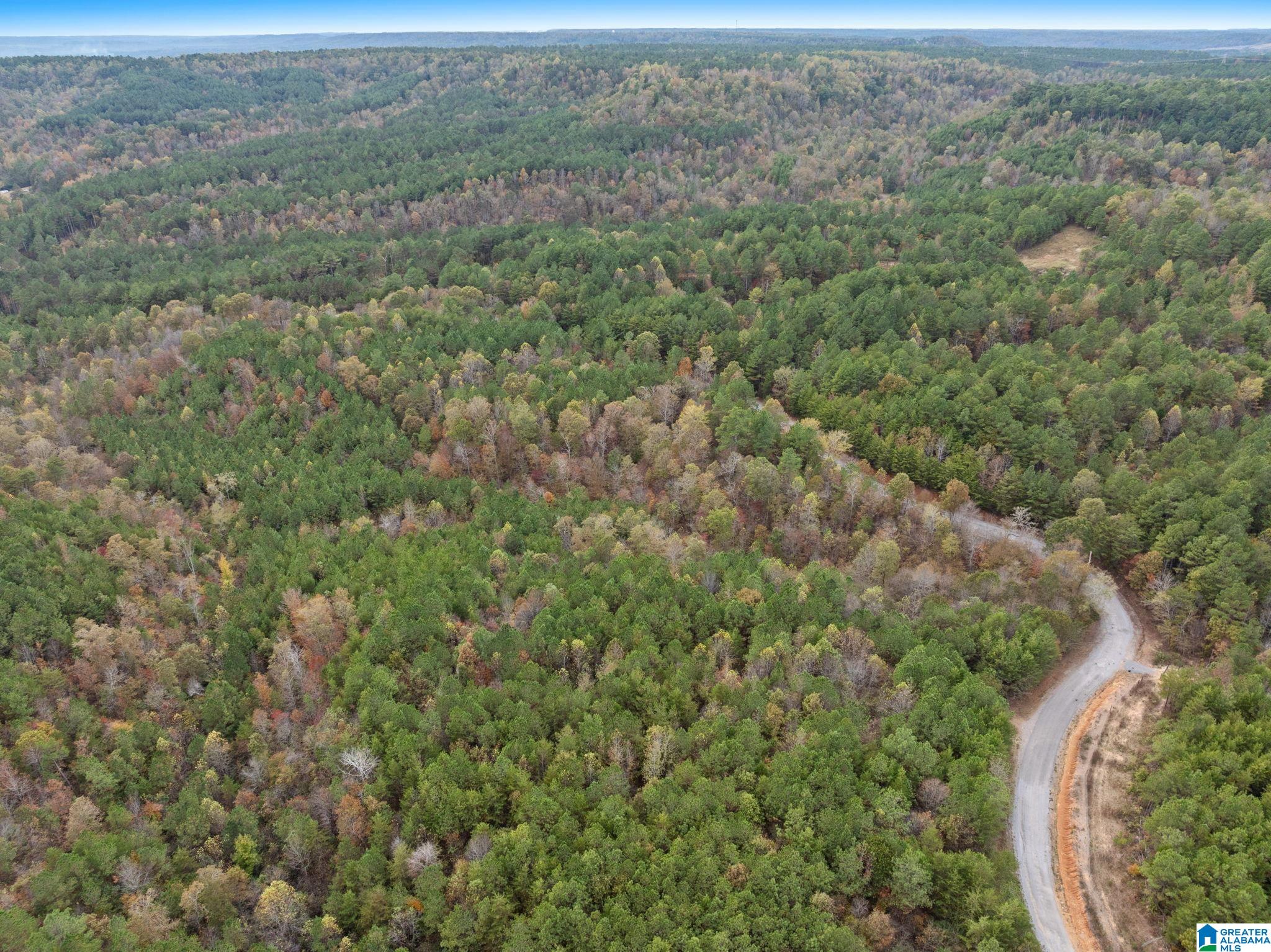 Homes for sale in Hanceville, AL | 0 County Road 518, Hanceville, AL 35077 | MLS# 21446350