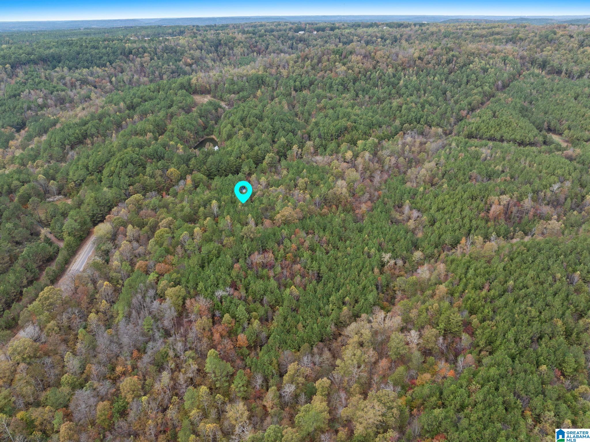 Homes for sale in Hanceville, AL | 0 County Road 518, Hanceville, AL 35077 | MLS# 21446350