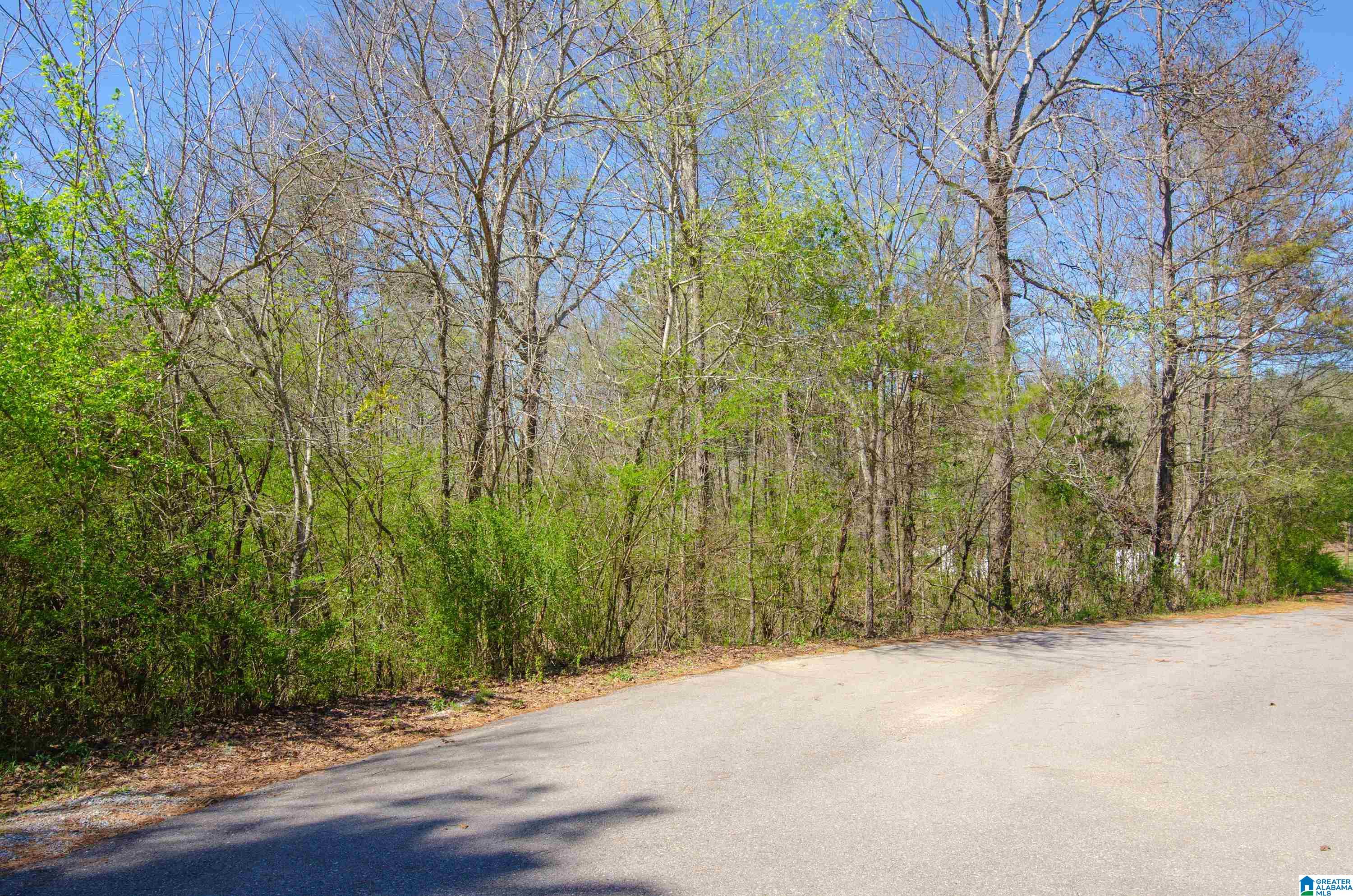 Homes for sale in Lincoln, AL | 0 Howard Circle, Lincoln, AL 35096 | MLS# 21446376