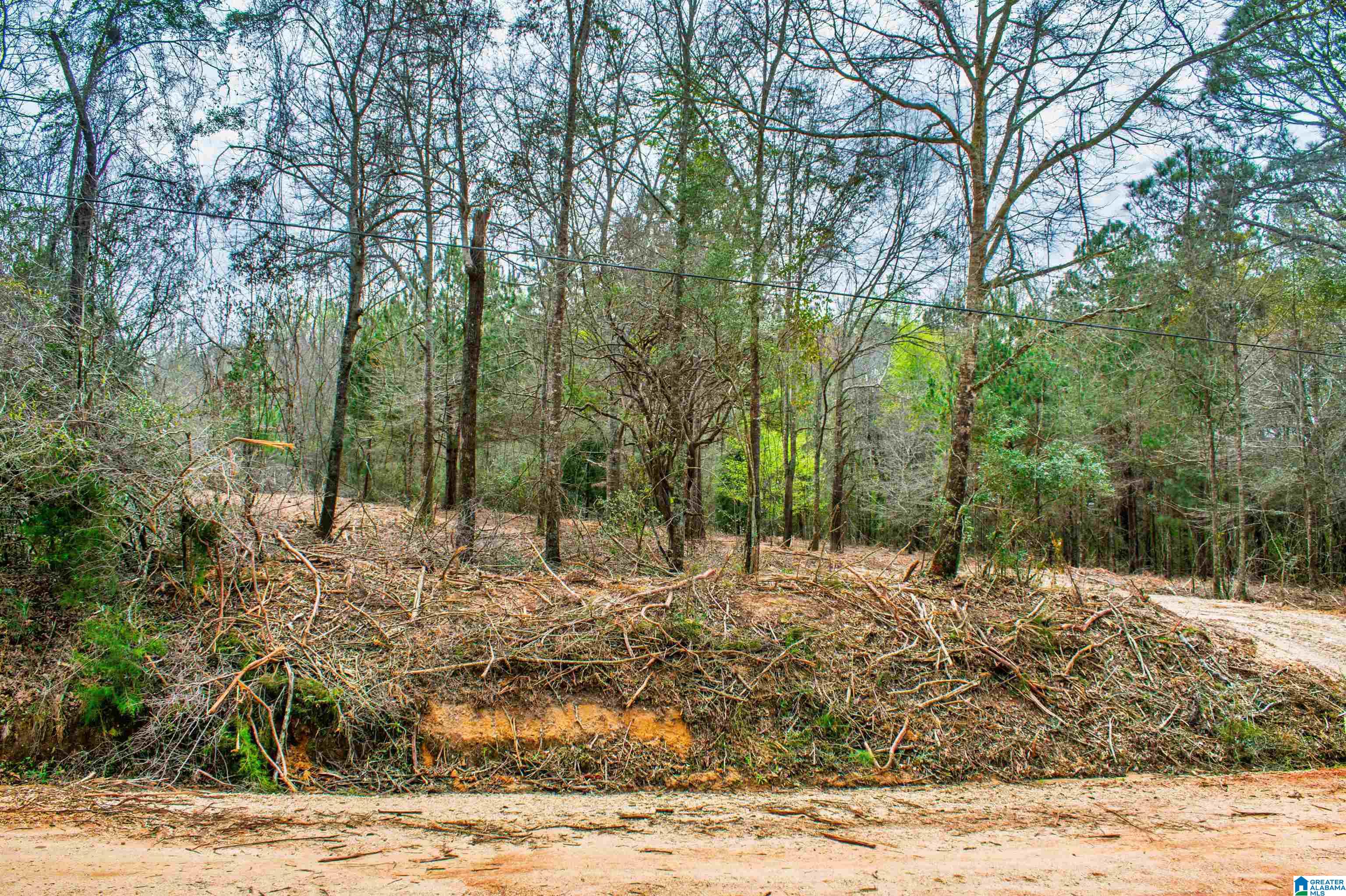 Homes for sale in Opp, AL | 27180 Deer Run Road, Opp, AL 36467 | MLS# 21446418