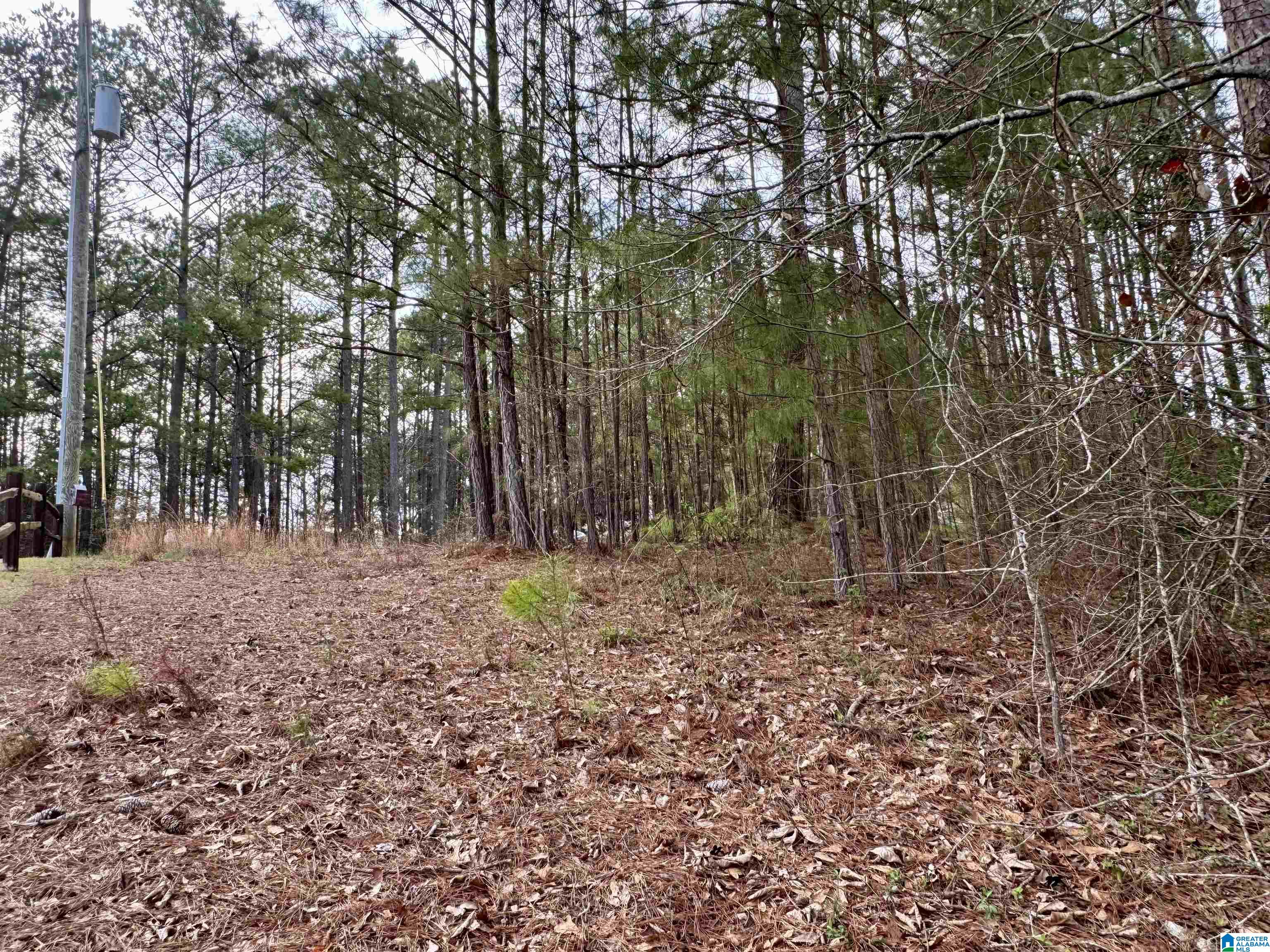 Homes for sale in Wedowee, AL | Lot 78 Wright Way Dr, Wedowee, AL 36278 | MLS# 21446471