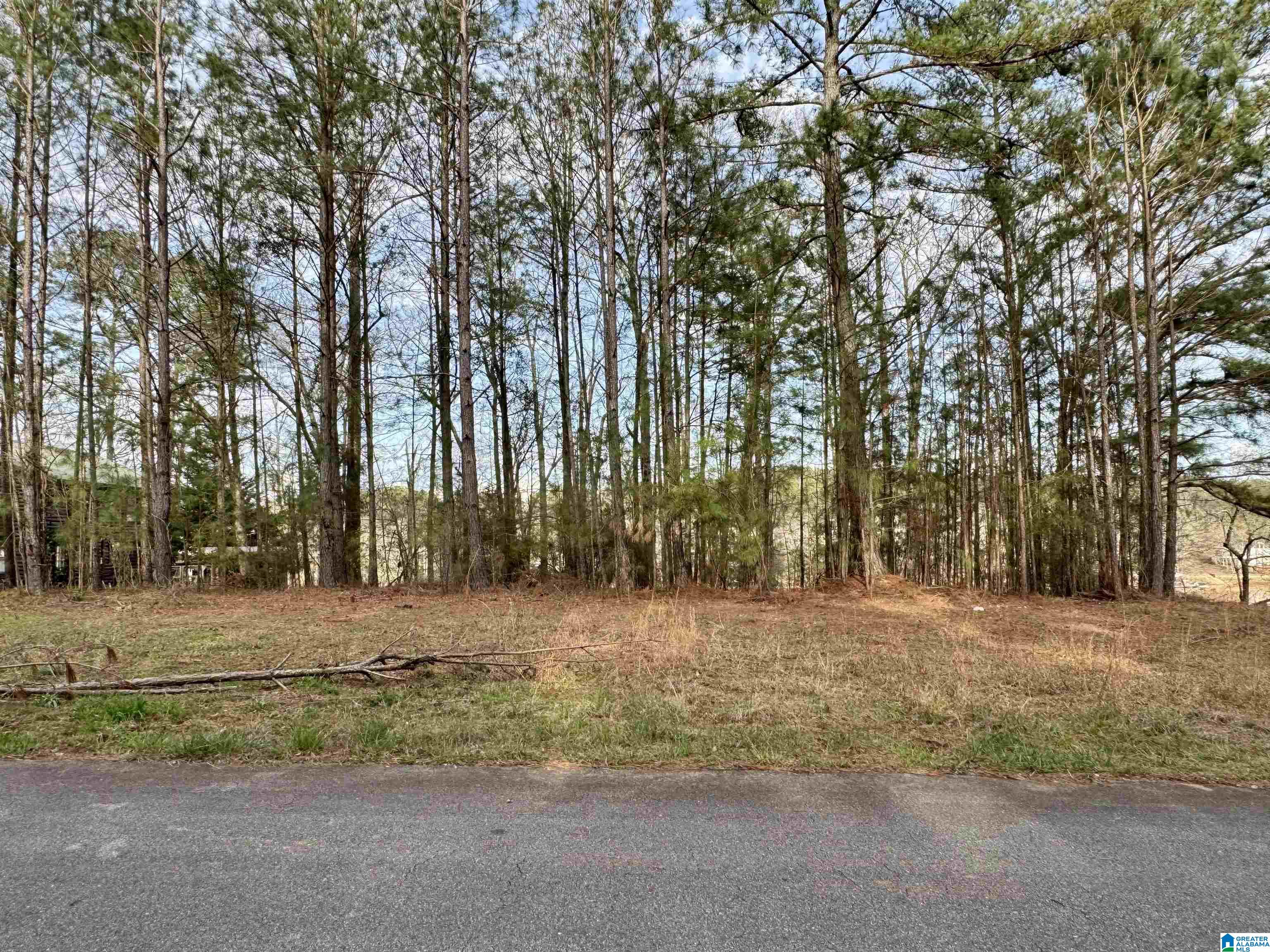 Homes for sale in Wedowee, AL | Lot 78 Wright Way Dr, Wedowee, AL 36278 | MLS# 21446471