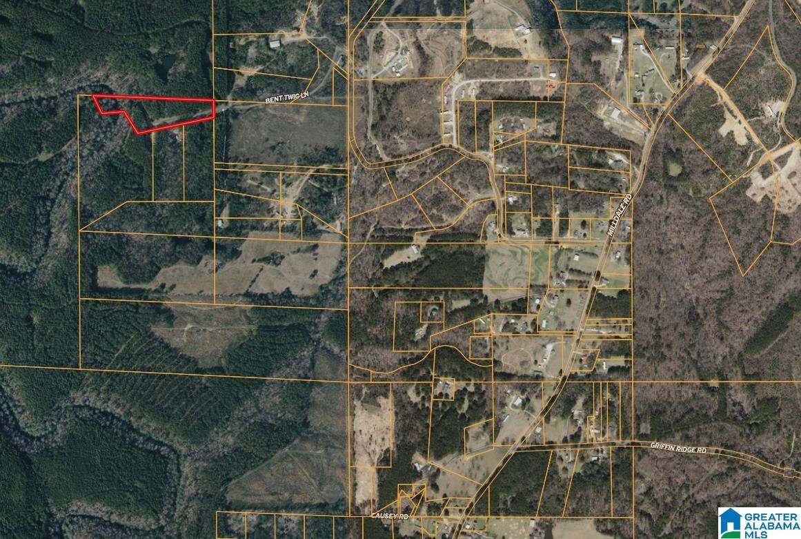 Homes for sale in Brookwood, AL | 61 Acres Bent Twig Lane, Brookwood, AL 35444 | MLS# 21446482