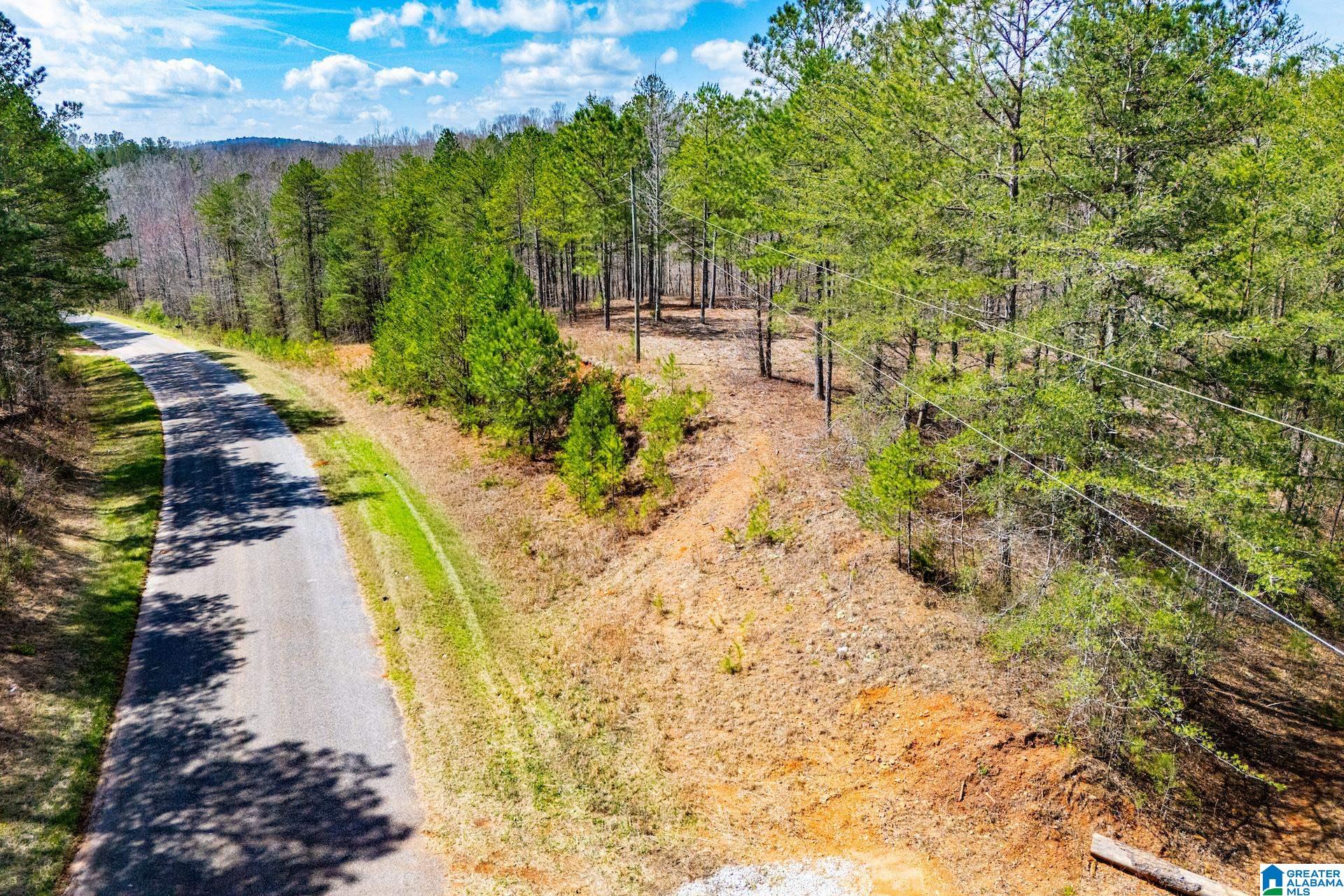 Homes for sale in Wedowee, AL | 23 Acres County Road 7, Wedowee, AL 36278 | MLS# 21446499