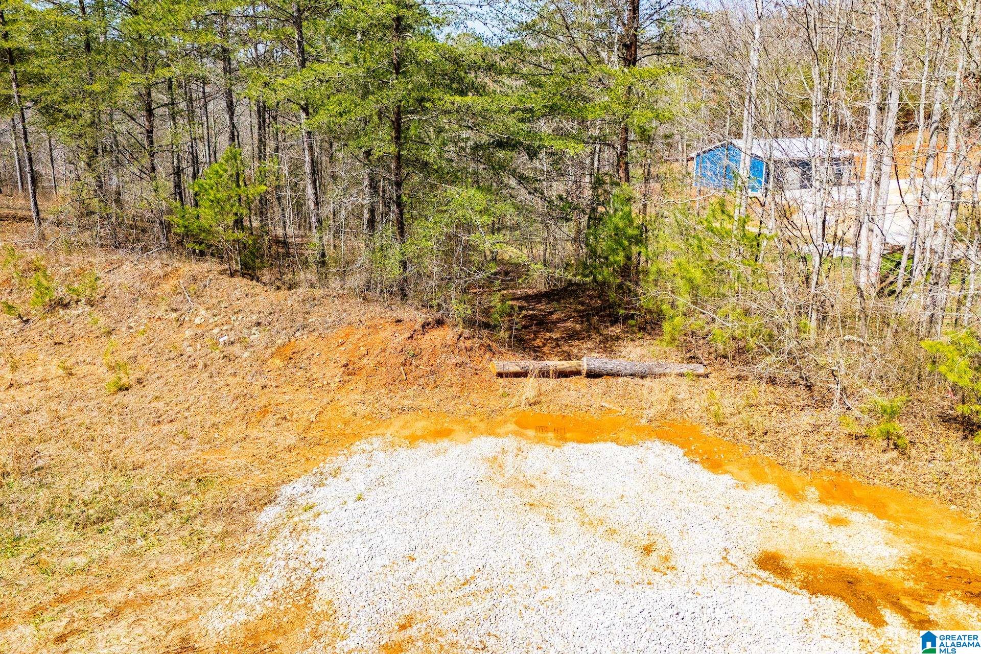 Homes for sale in Wedowee, AL | 23 Acres County Road 7, Wedowee, AL 36278 | MLS# 21446499