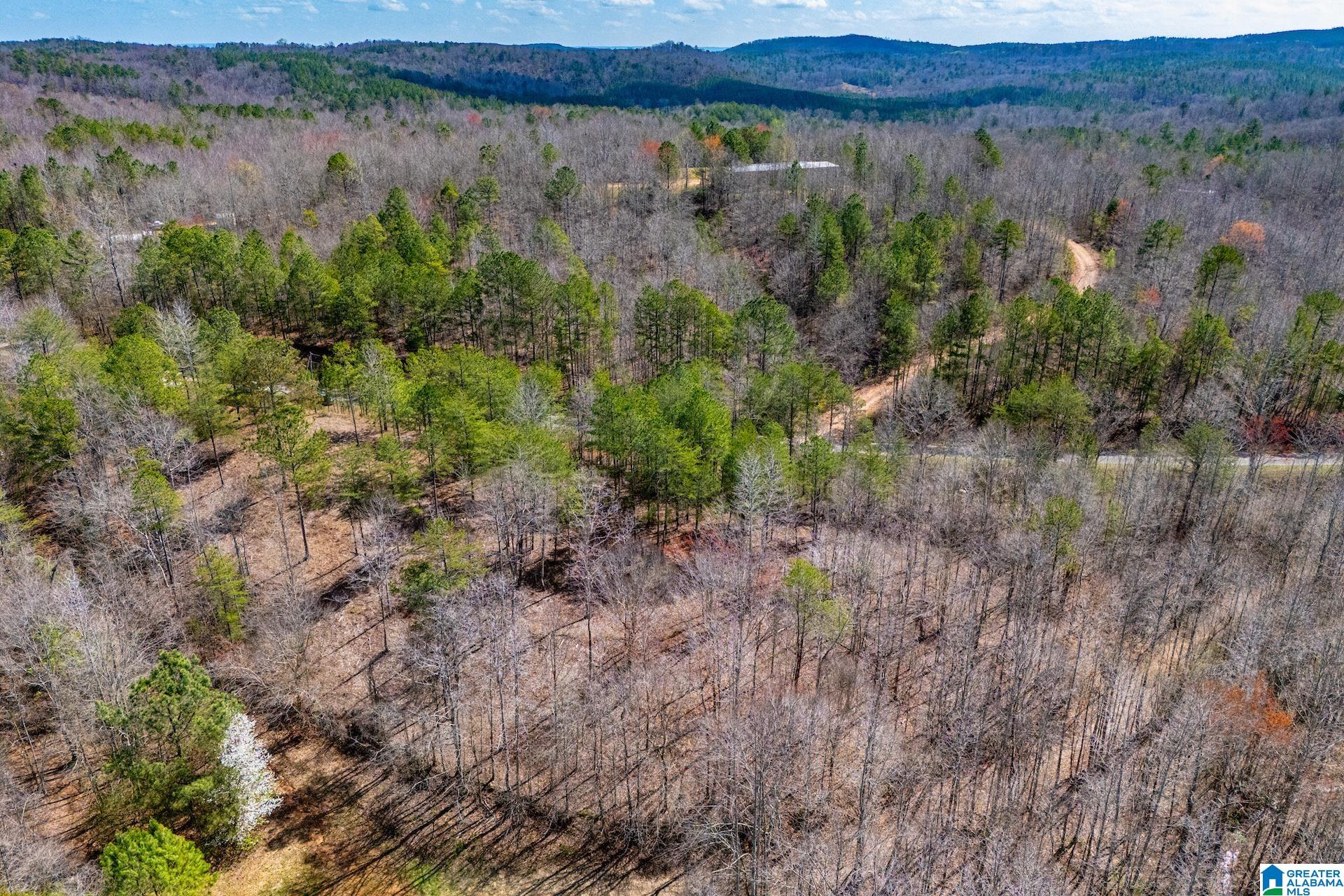 Homes for sale in Wedowee, AL | 23 Acres County Road 7, Wedowee, AL 36278 | MLS# 21446499