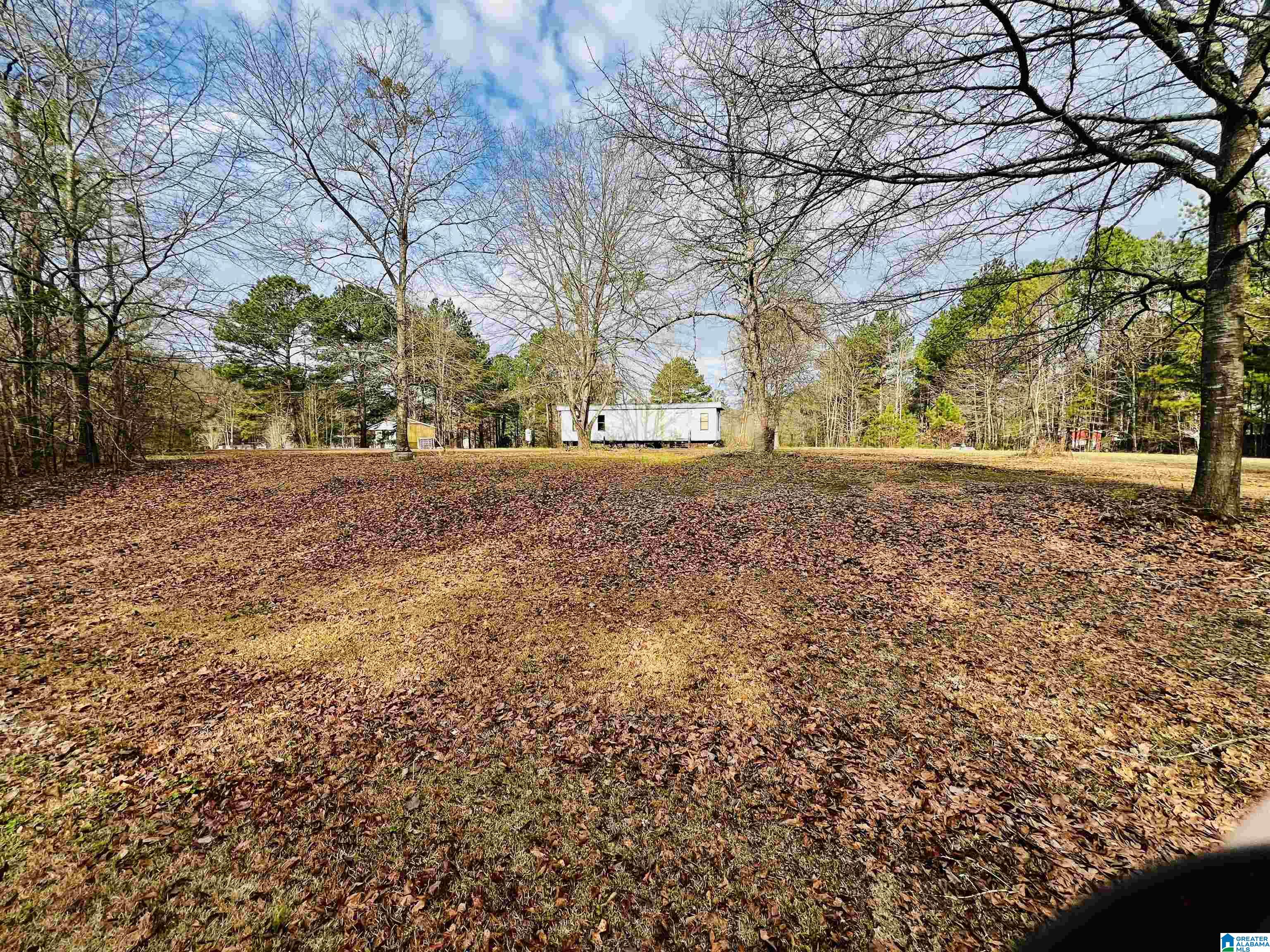 Homes for sale in Ashville, AL | 411 Launch Dr, Ashville, AL 35953 | MLS# 21446550