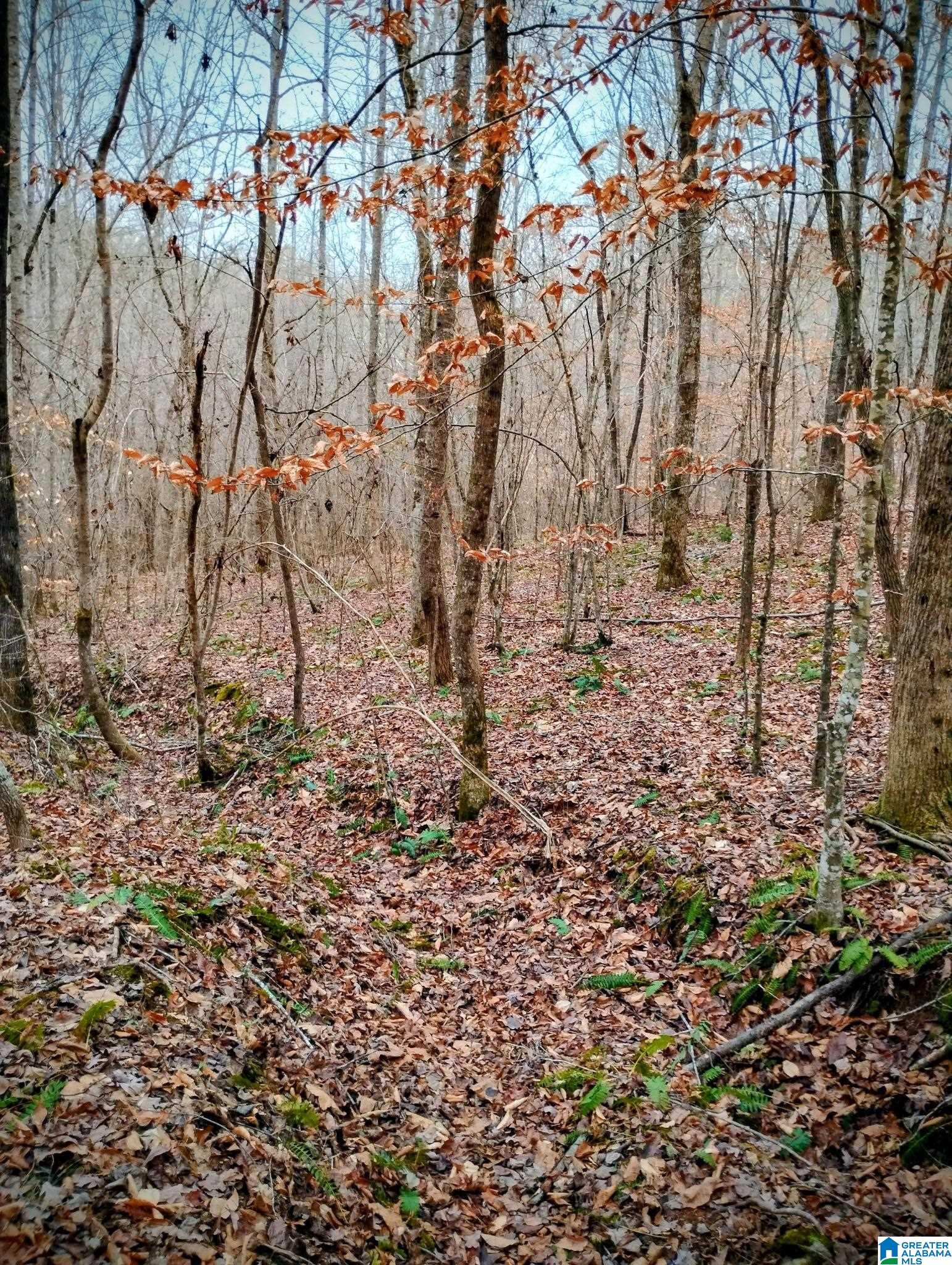 Homes for sale in Wedowee, AL | Lot 17 Mandy Dr, Wedowee, AL 36278 | MLS# 21446577
