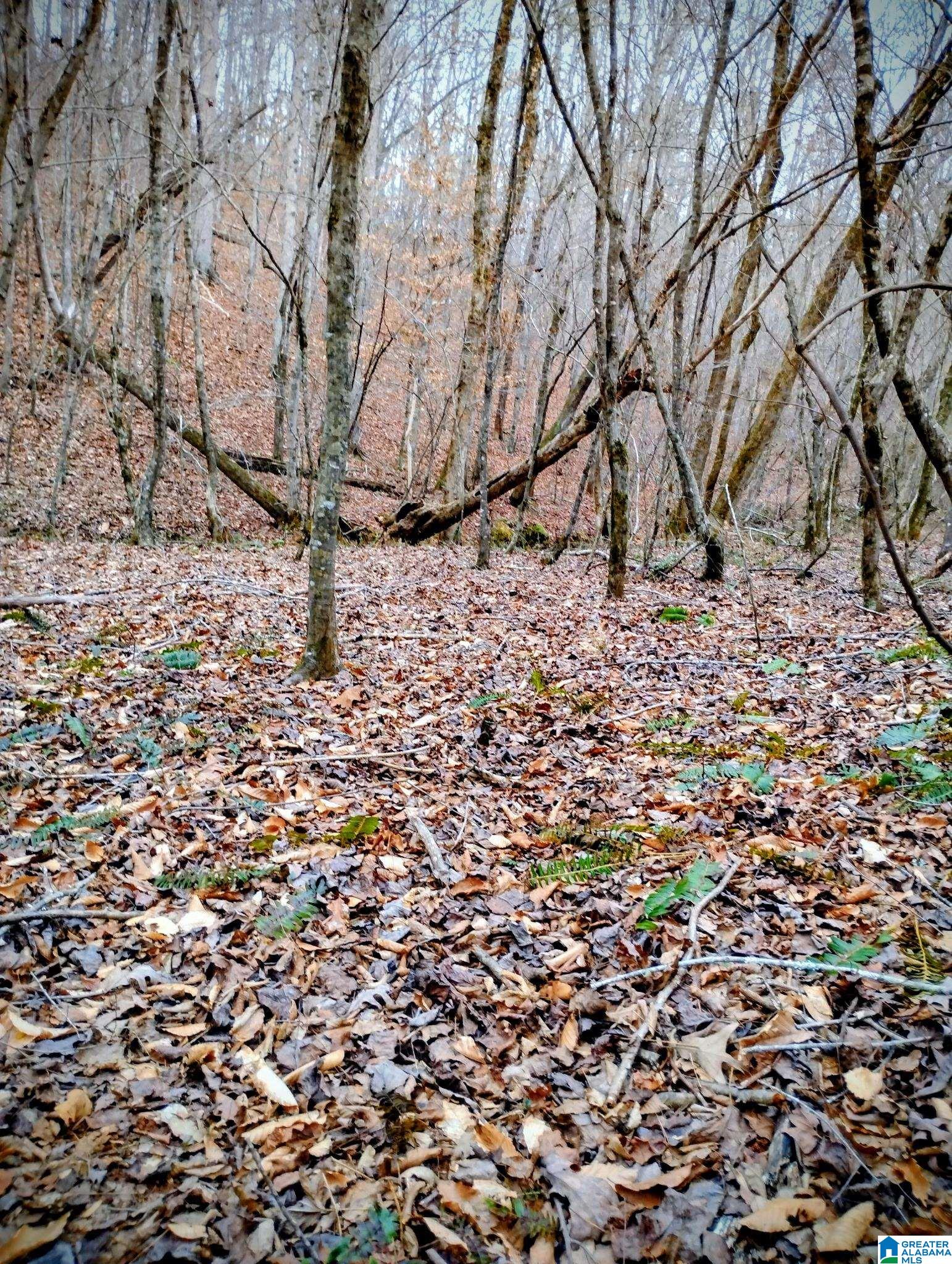 Homes for sale in Wedowee, AL | Lot 17 Mandy Dr, Wedowee, AL 36278 | MLS# 21446577