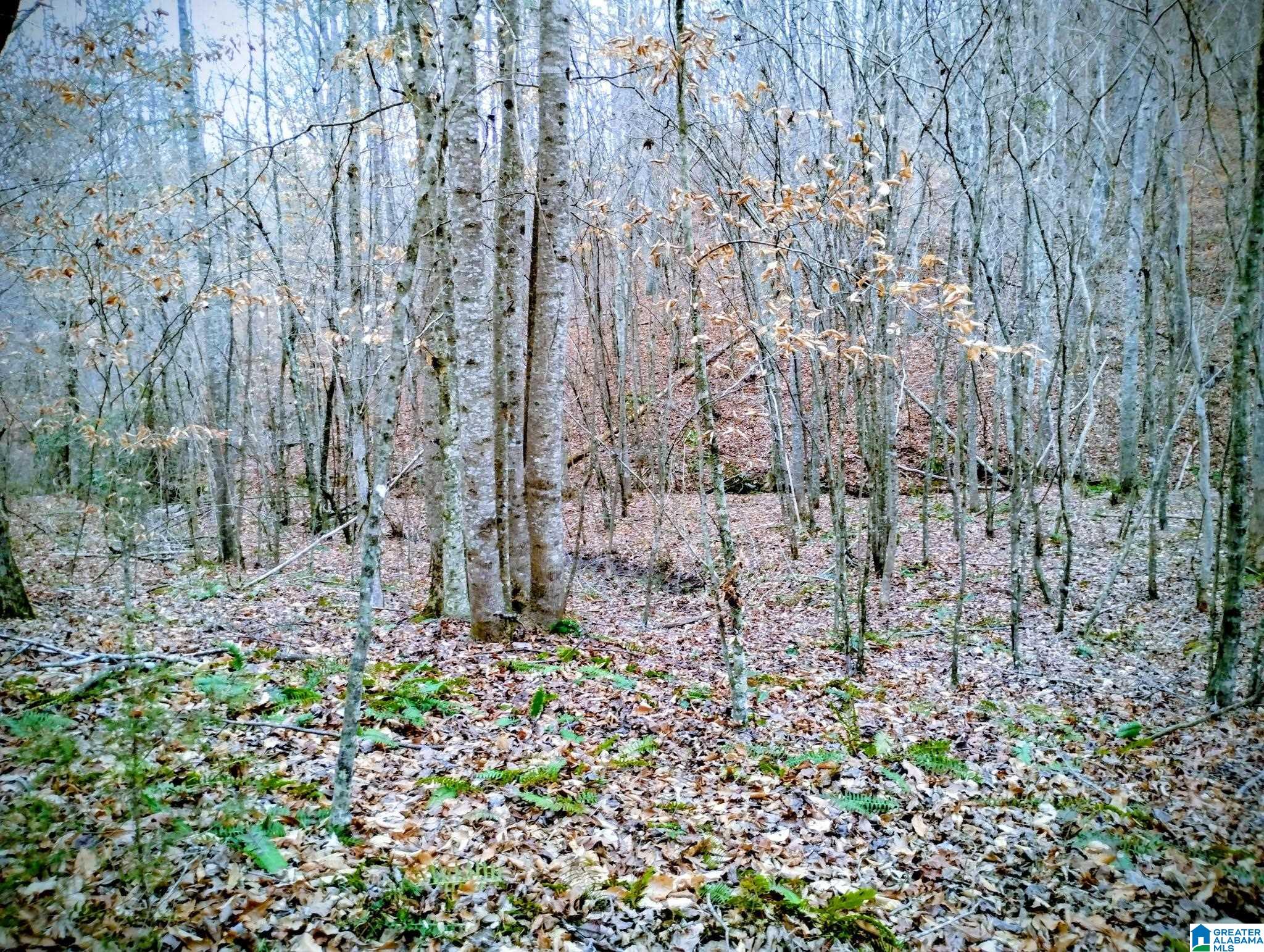 Homes for sale in Wedowee, AL | Lot 17 Mandy Dr, Wedowee, AL 36278 | MLS# 21446577