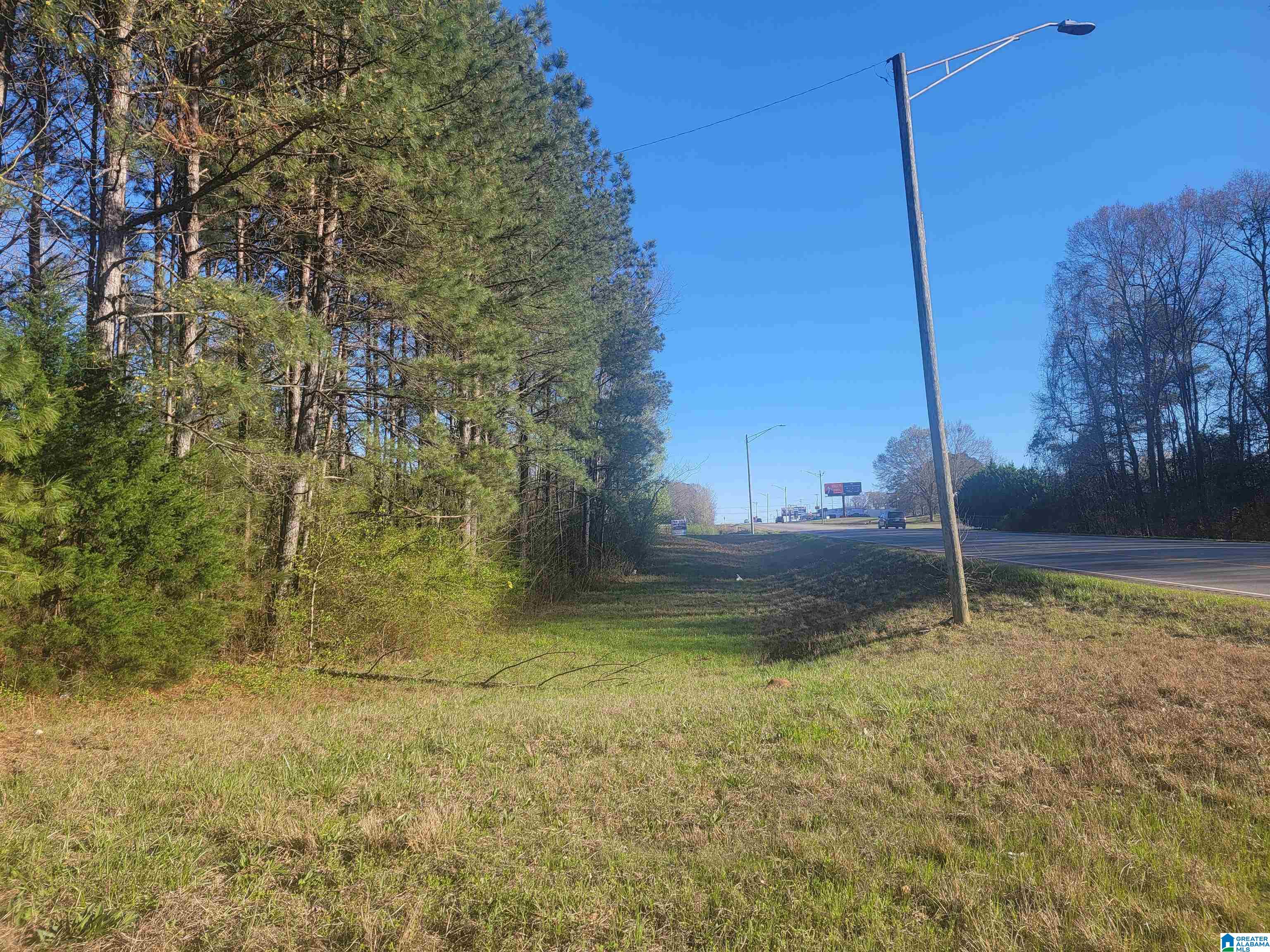 3.02+/- Acres HIGHWAY 431