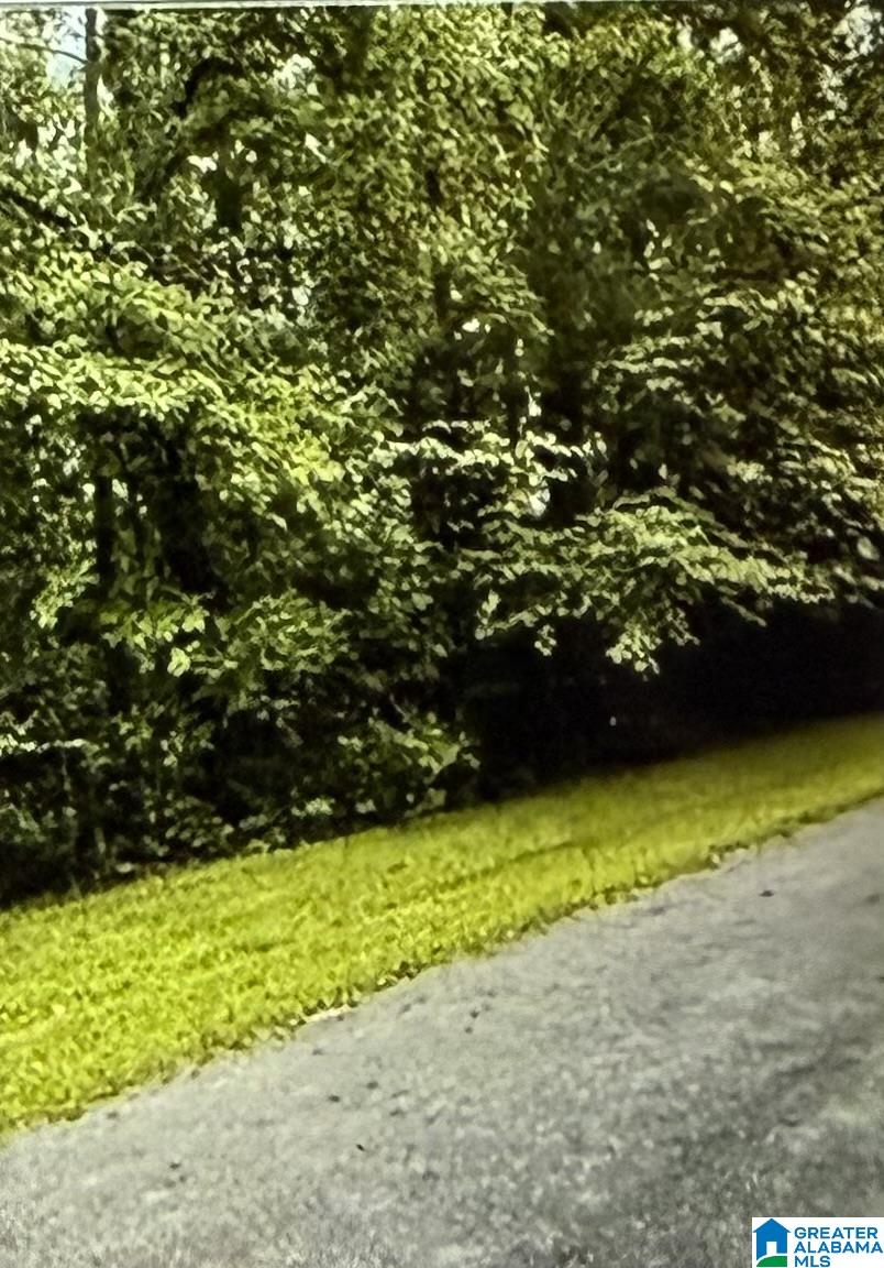 1st image of Lot 11 Canal Street, Childersburg, AL 35044 | MLS# 21446654