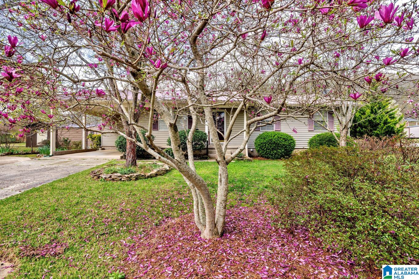 Homes for sale in Oneonta, AL | 804 Cotton Avenue, Oneonta, AL 35121 | MLS# 21446658