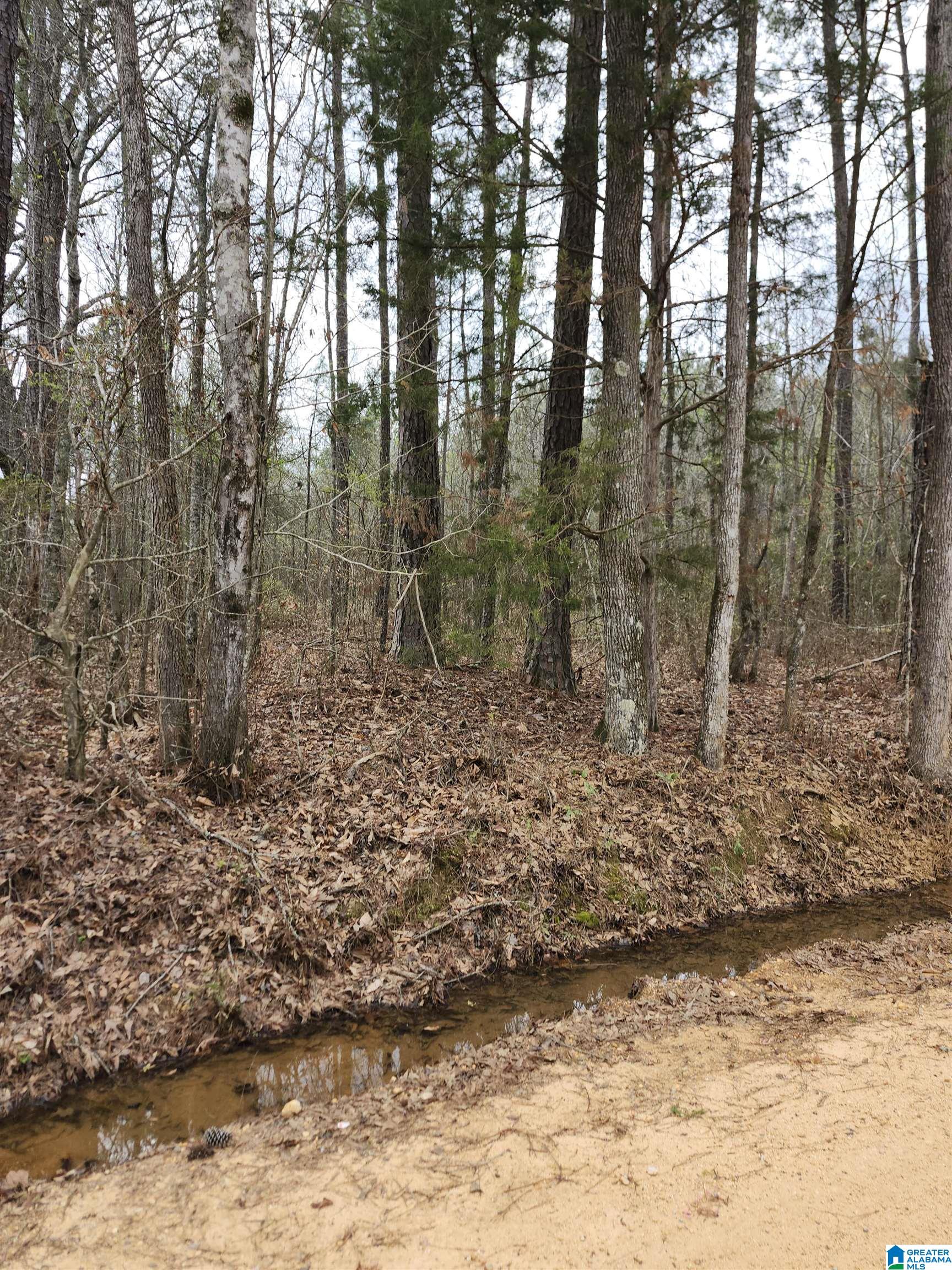 Homes for sale in Verbena, AL | 0 County Road 495, Verbena, AL 36091 | MLS# 21446700
