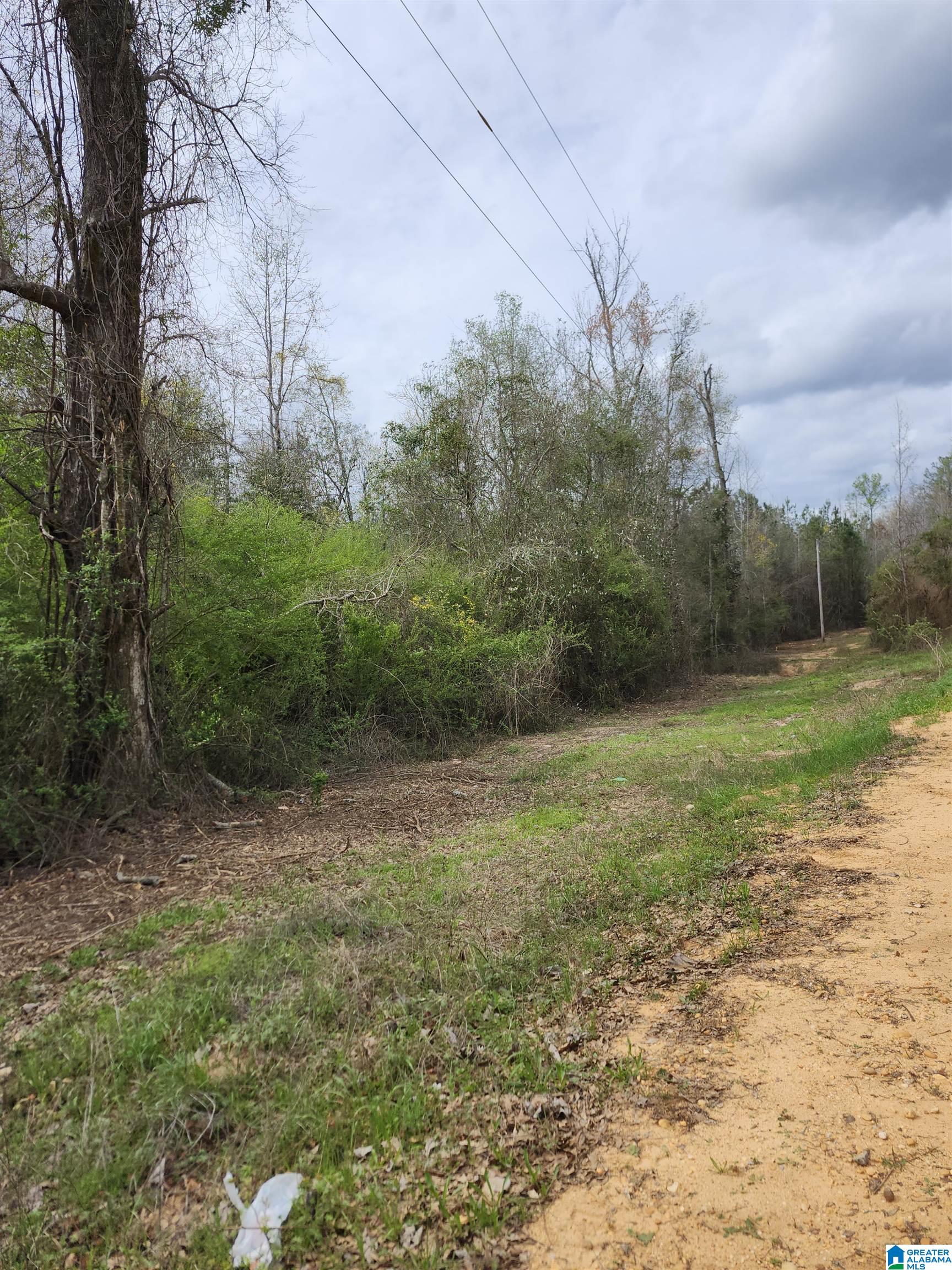 Homes for sale in Verbena, AL | 0 County Road 495, Verbena, AL 36091 | MLS# 21446700