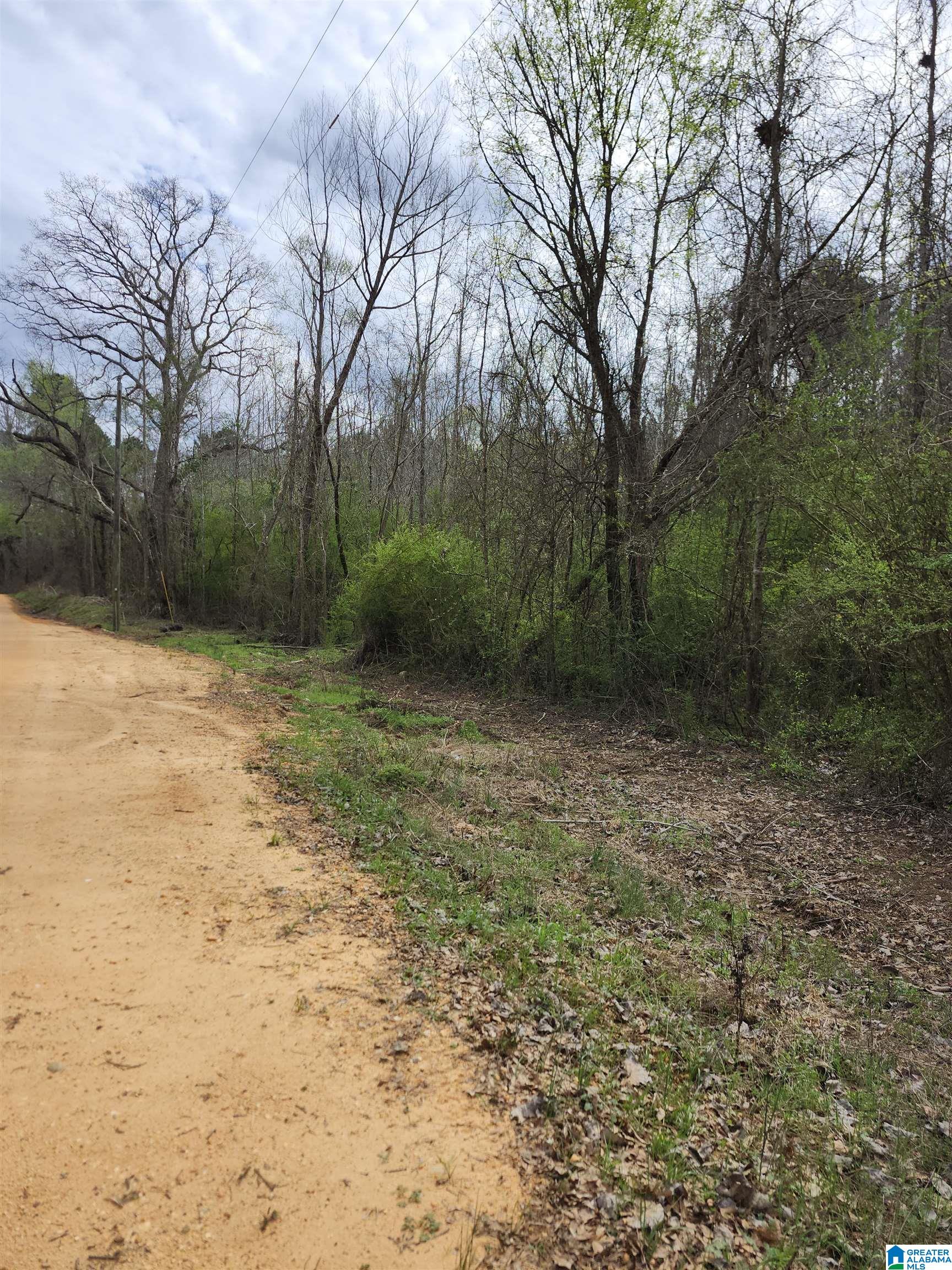 Homes for sale in Verbena, AL | 0 County Road 495, Verbena, AL 36091 | MLS# 21446700