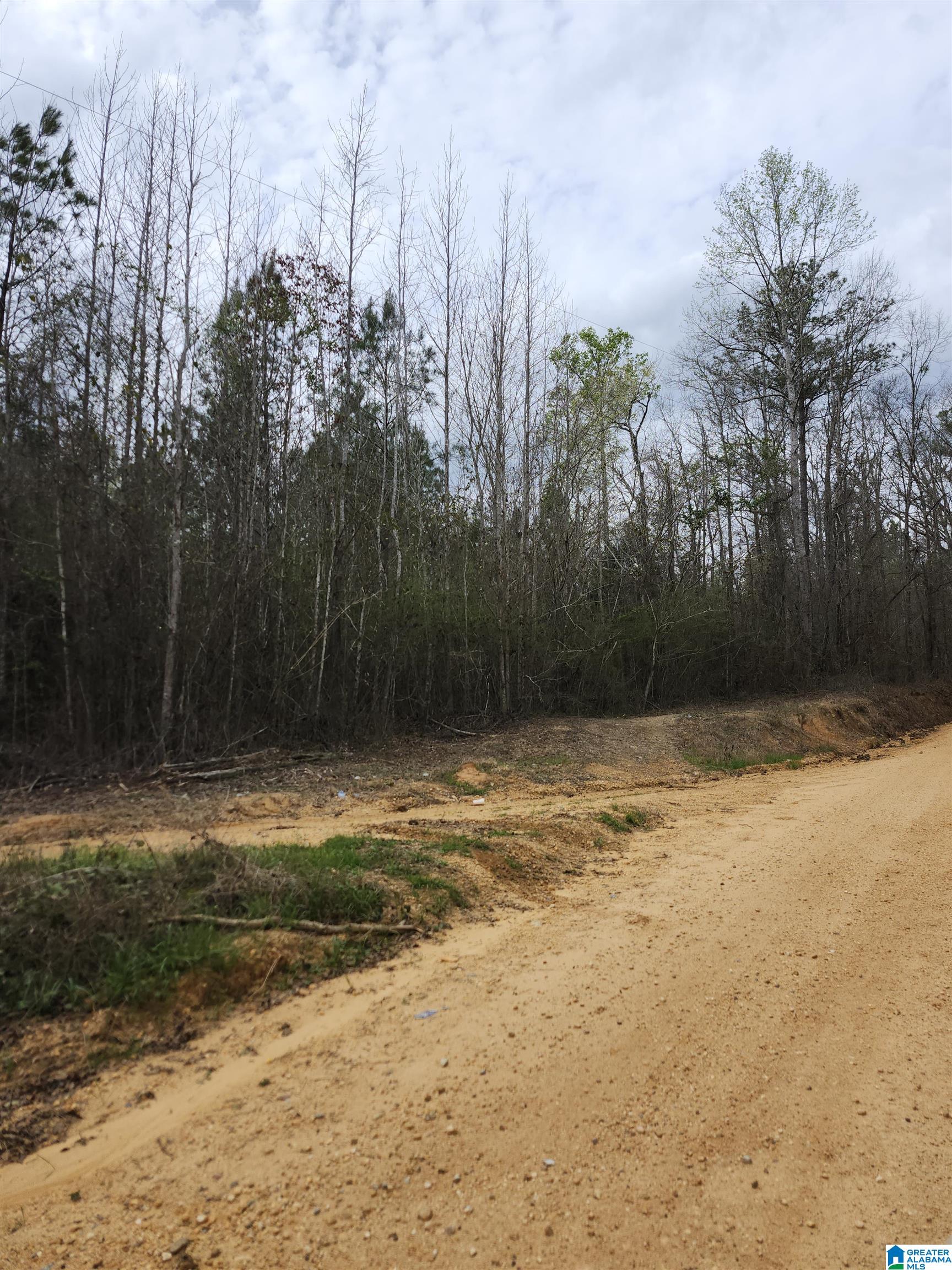 Homes for sale in Verbena, AL | 0 County Road 495, Verbena, AL 36091 | MLS# 21446700