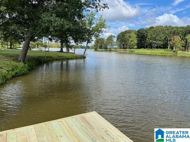 225 COUNTY ROAD 115