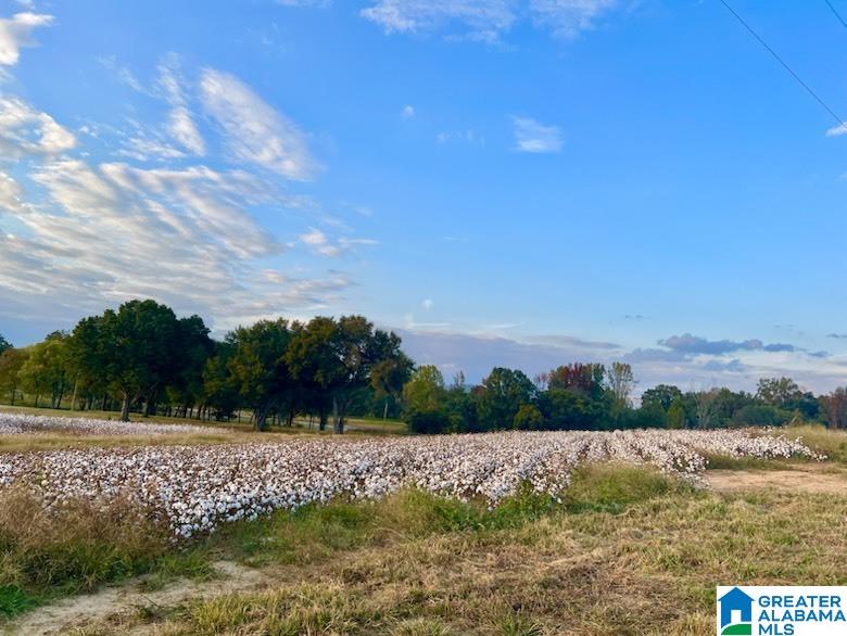 Homes for sale in Cedar Bluff, AL | 225 County Road 115, Cedar Bluff, AL 35959 | MLS# 21446703