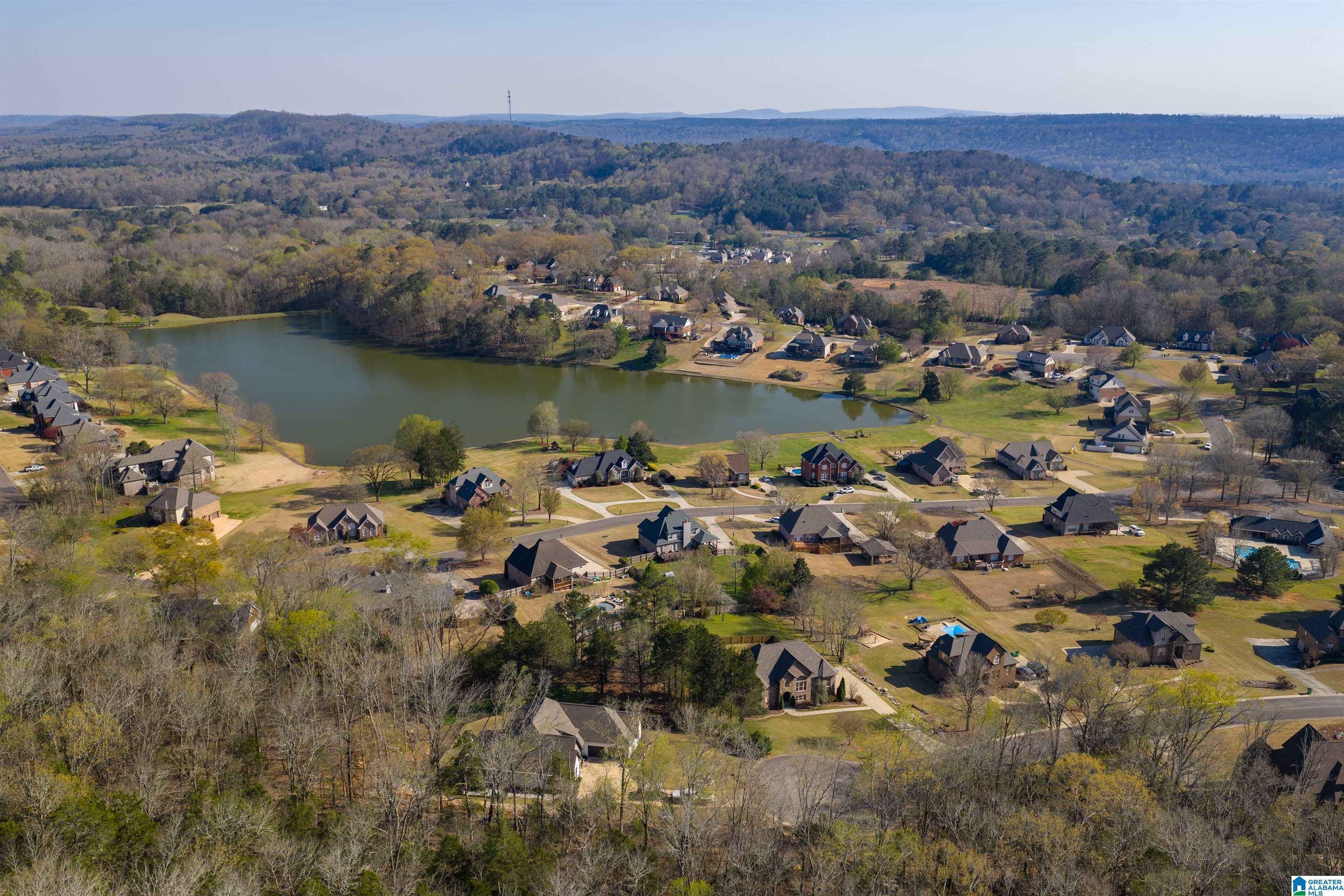 4th image of 250 Farm Court, Springville, AL 35146 | MLS# 21446758