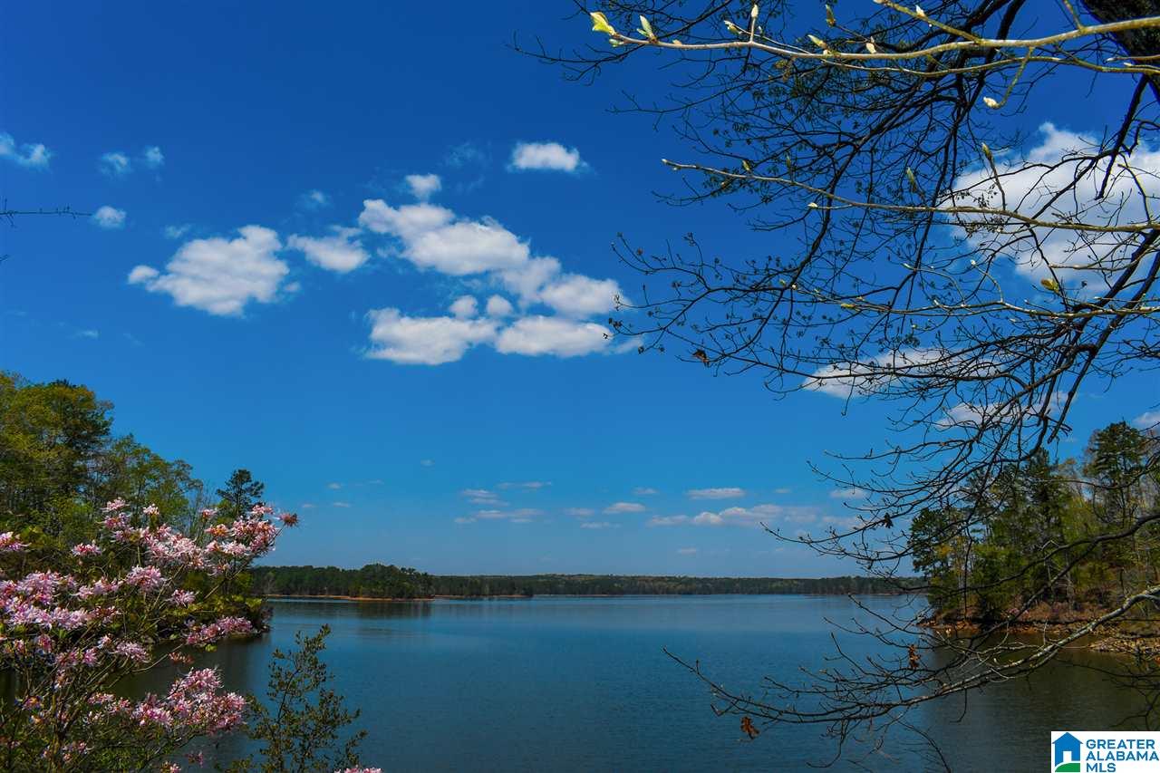 Homes for sale in Wedowee, AL | 4650 County Road 804, Wedowee, AL 36278 | MLS# 21446800