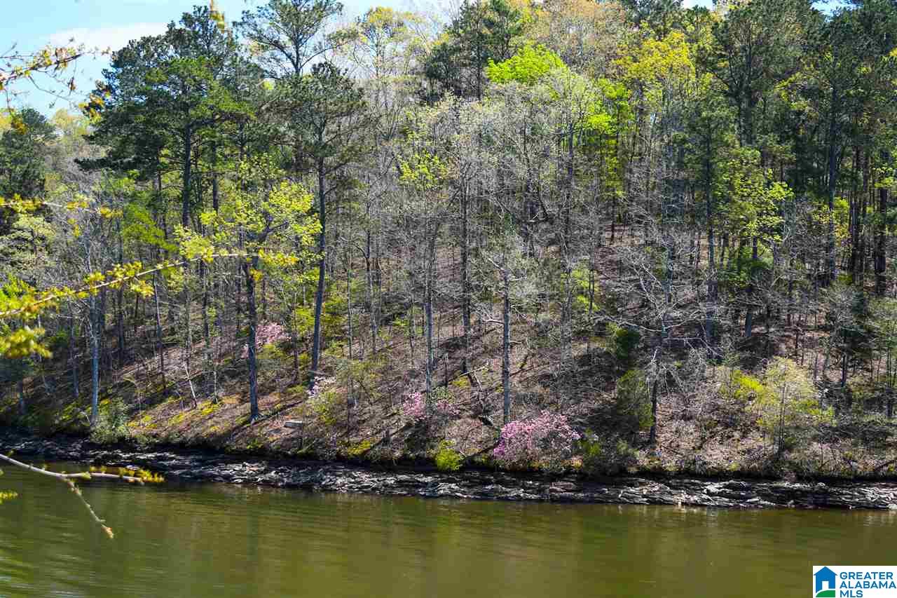 Homes for sale in Wedowee, AL | 4650 County Road 804, Wedowee, AL 36278 | MLS# 21446800