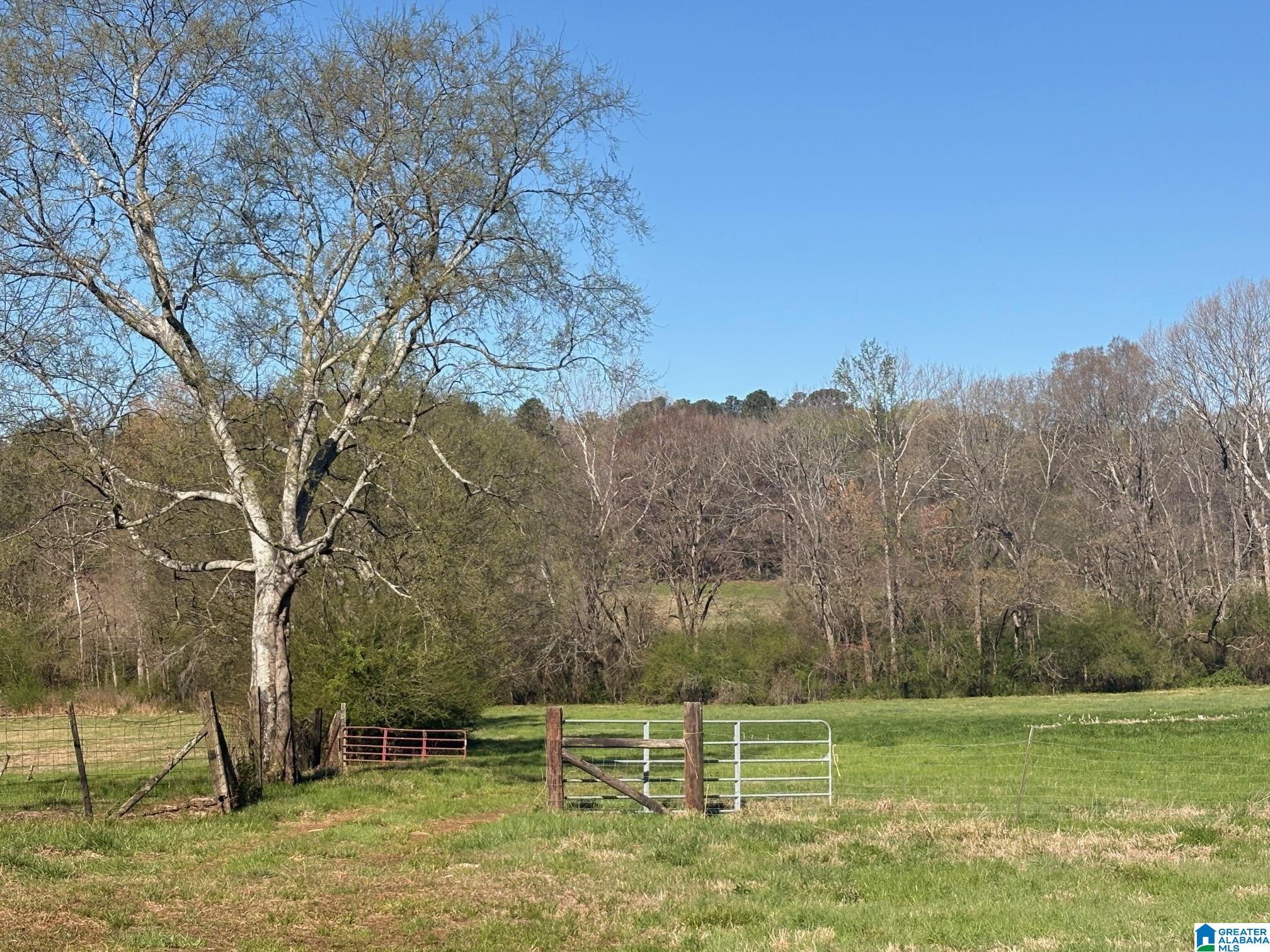 Homes for sale in Harpersville, AL | 10940 Gallups Crossroad, Harpersville, AL 35078 | MLS# 21446822