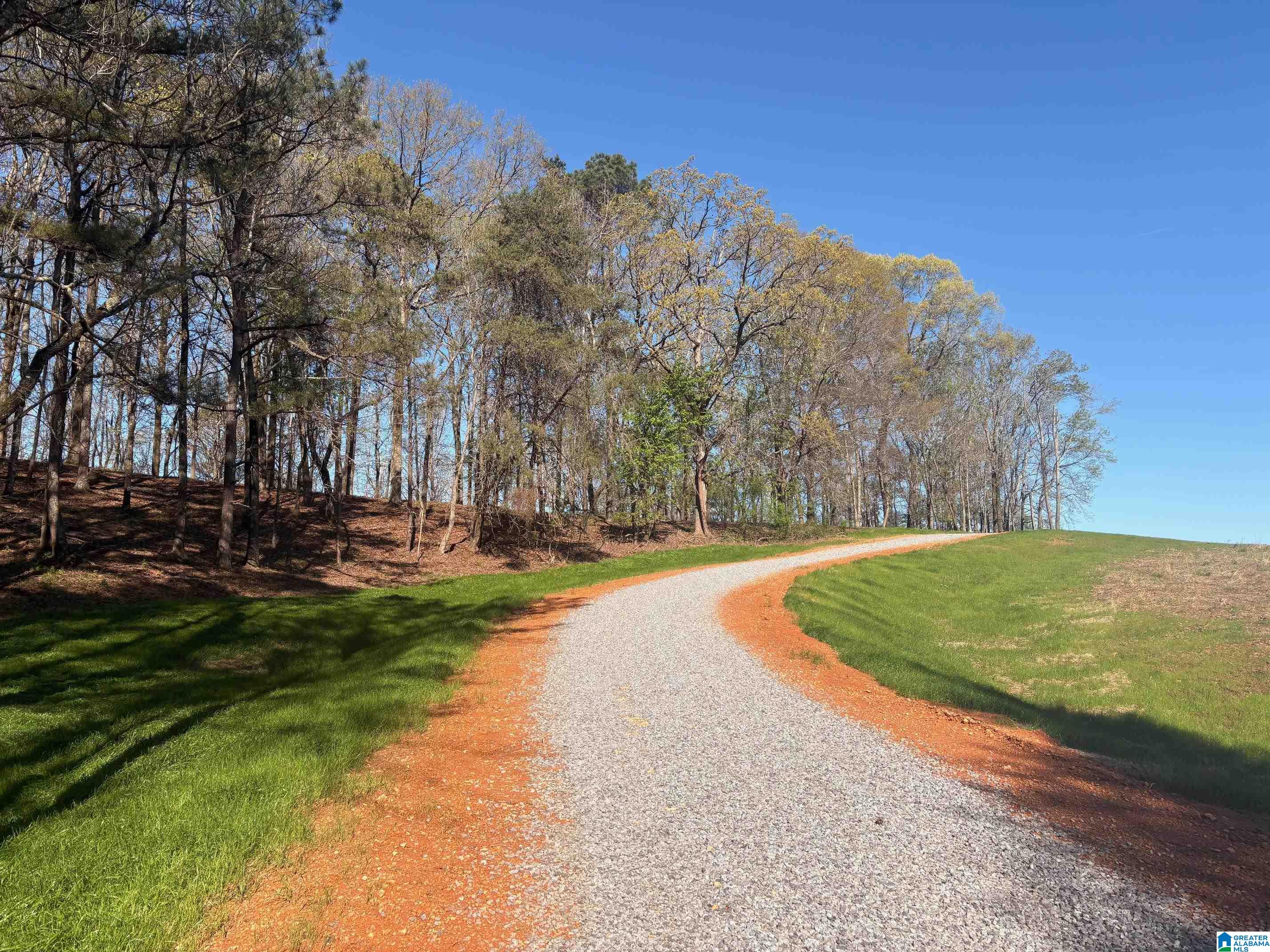 Homes for sale in Harpersville, AL | 10940 Gallups Crossroad, Harpersville, AL 35078 | MLS# 21446822