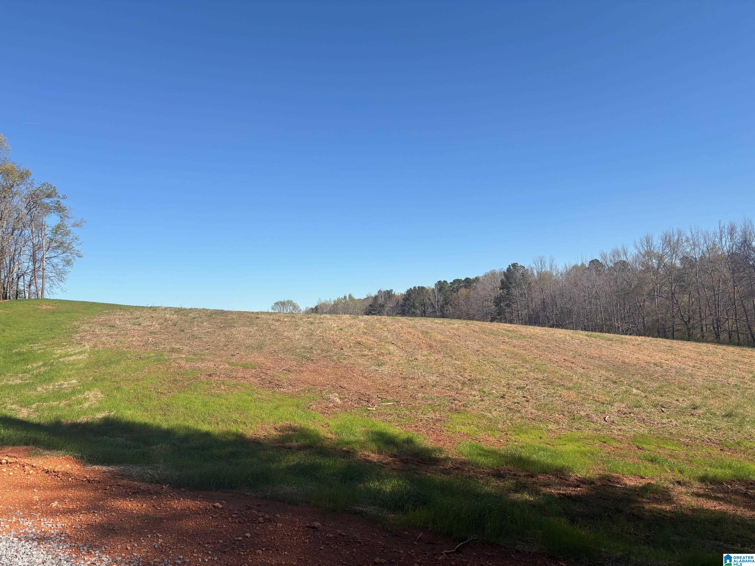 Homes for sale in Harpersville, AL | 10940 Gallups Crossroad, Harpersville, AL 35078 | MLS# 21446822