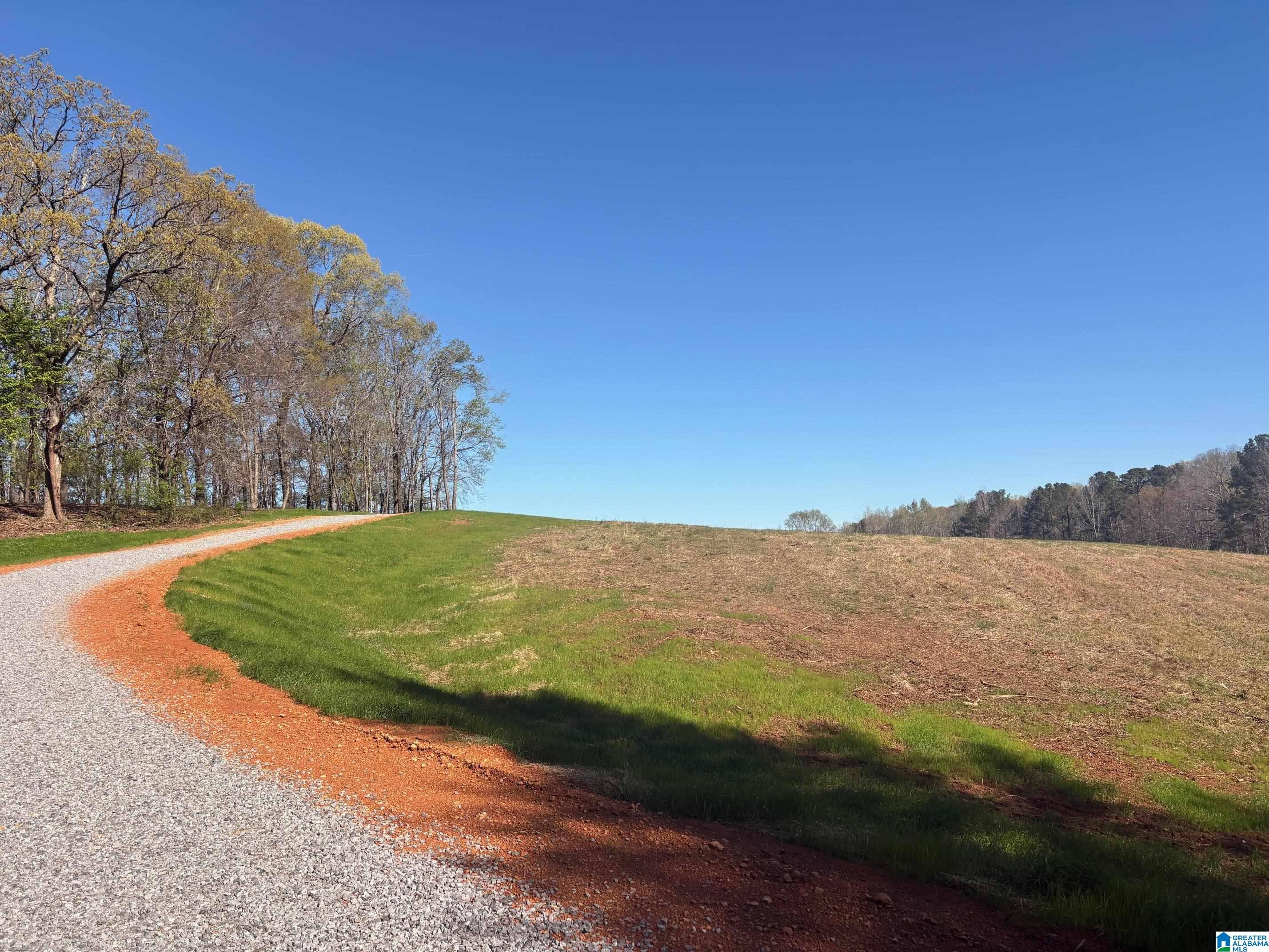 Homes for sale in Harpersville, AL | 10940 Gallups Crossroad, Harpersville, AL 35078 | MLS# 21446822