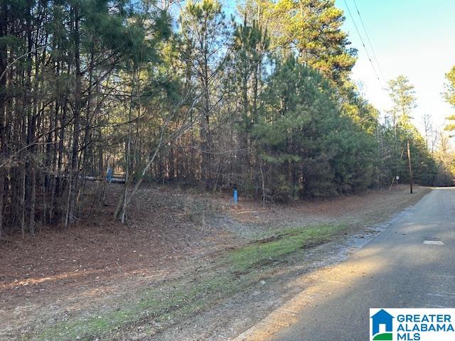 Lot 13 COUNTY ROAD 730