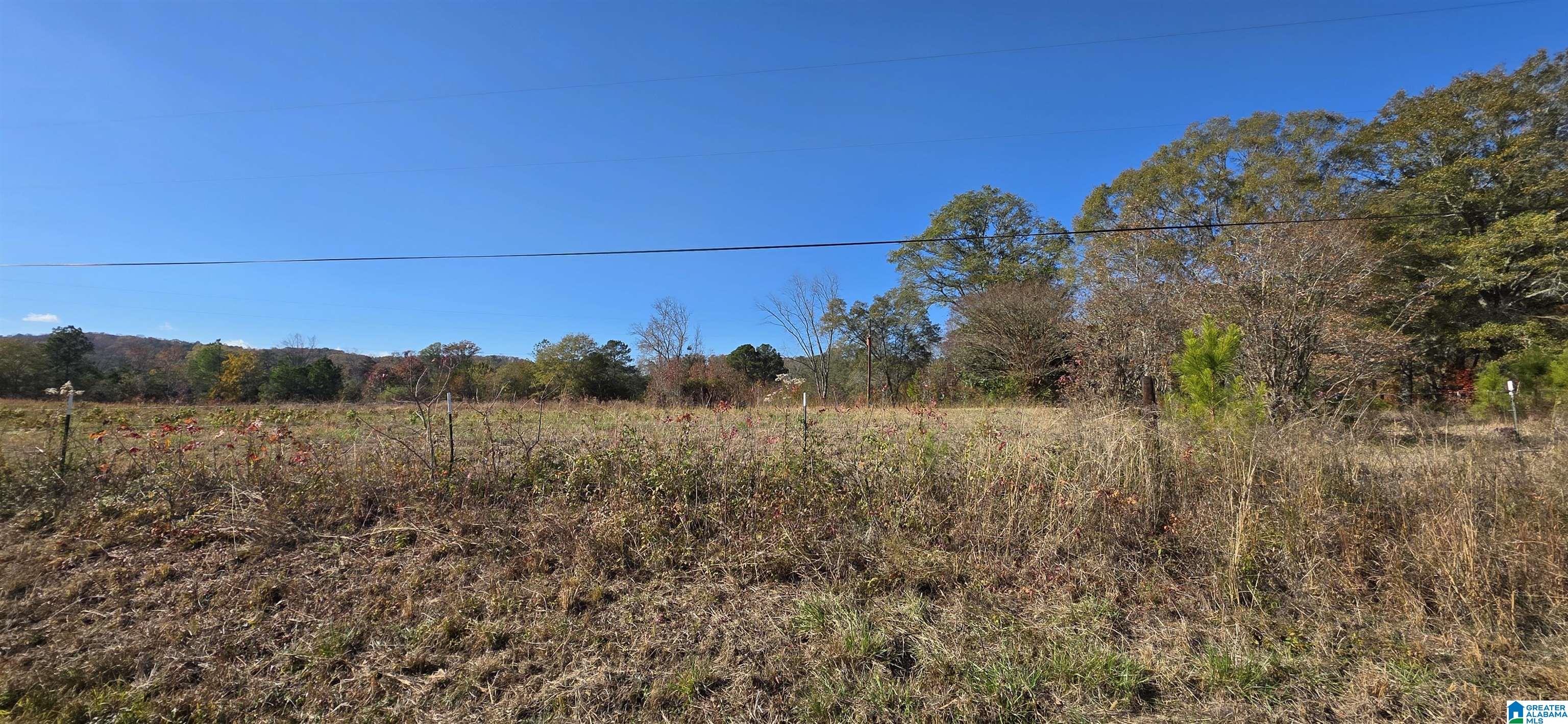 Photo 1 of Land for sale at 663 Graham Dr, Ohatchee, AL 36271 | MLS# 21446860 | Listing updated on 2026-06-01