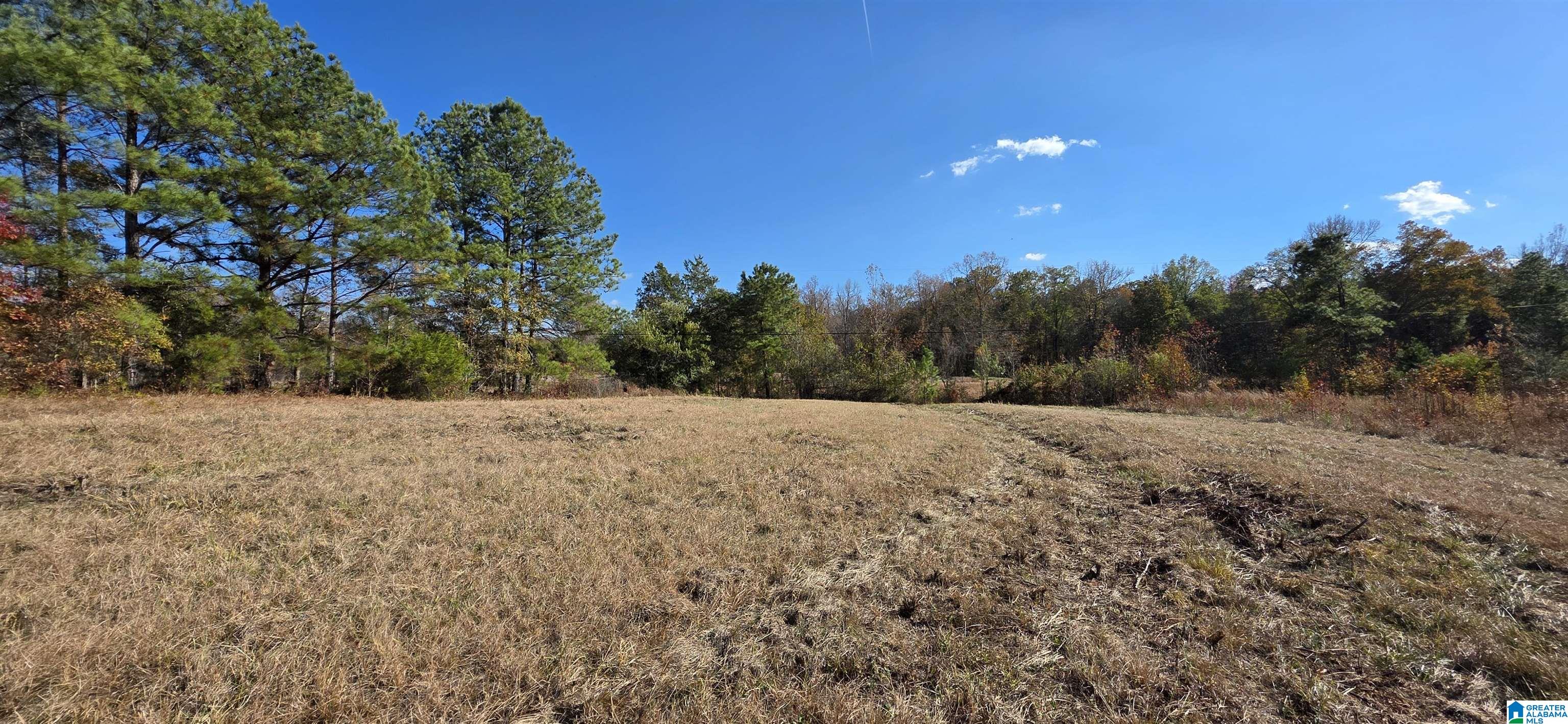 Photo 2 of Land for sale at 663 Graham Dr, Ohatchee, AL 36271 | MLS# 21446860 | Listing updated on 2026-06-01