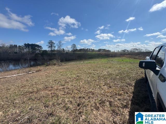 Homes for sale in Wedowee, AL | County Road 605, Wedowee, AL 36278 | MLS# 21446899