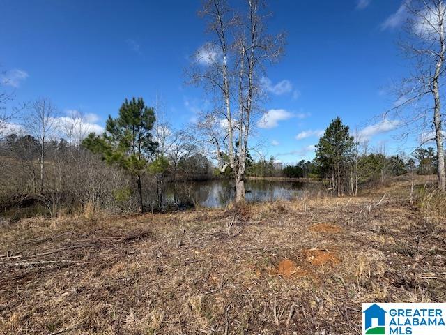Homes for sale in Wedowee, AL | County Road 605, Wedowee, AL 36278 | MLS# 21446899