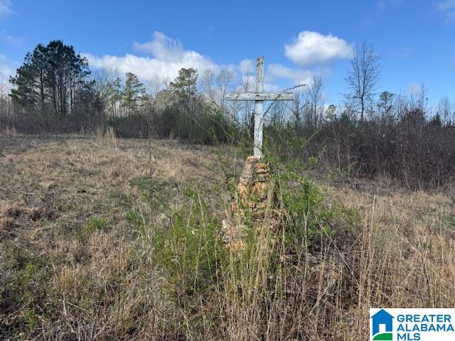 Homes for sale in Wedowee, AL | County Road 605, Wedowee, AL 36278 | MLS# 21446899