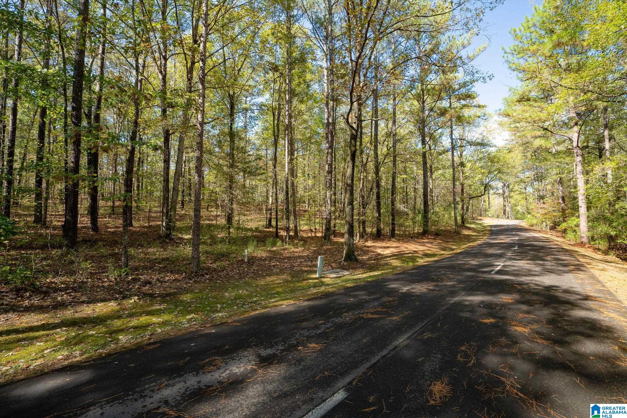 Homes for sale in Birmingham, AL | 301 Carnoustie, Birmingham, AL 35242 | MLS# 21446922