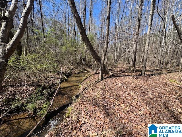 Homes for sale in Wadley, AL | 26315 Hwy 77, Wadley, AL 36276 | MLS# 21446935